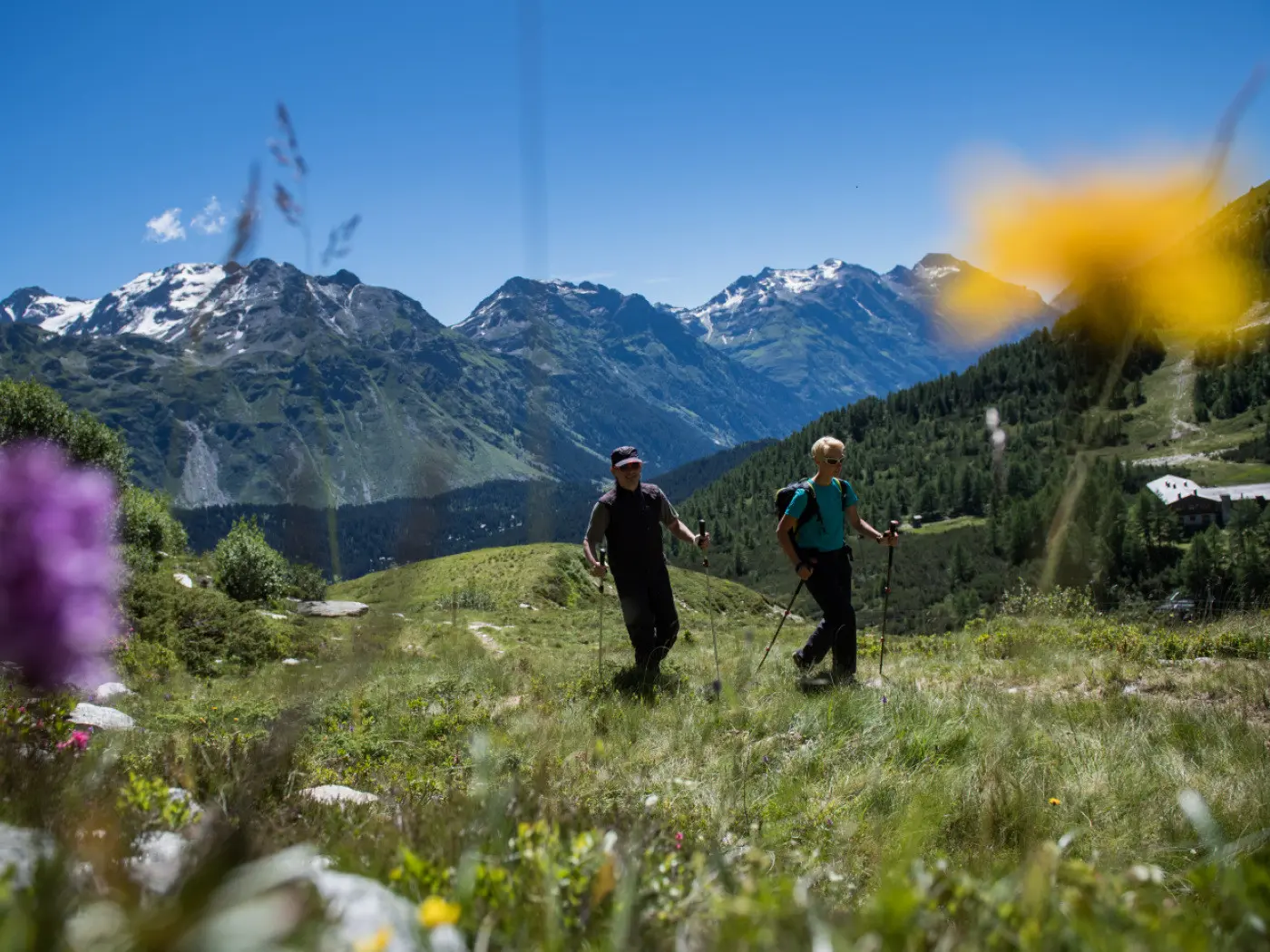 Due escursionisti camminano su un sentiero montano circondato da fiori e maestose montagne con cime innevate sullo sfondo. Il cielo è sereno e blu.