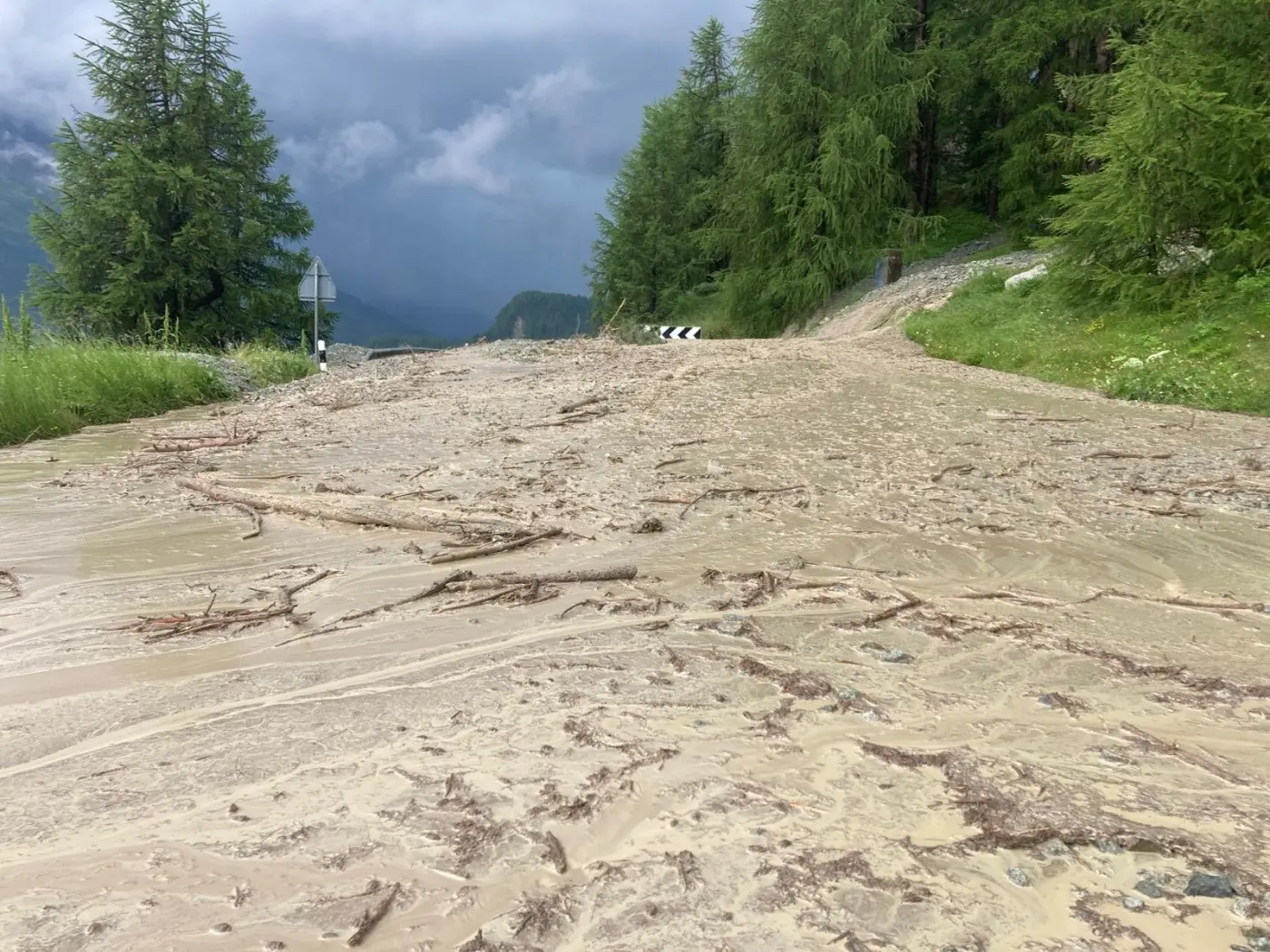 Strada inondată con fango e detriti, circondata da alberi verdi e un cielo nuvoloso.