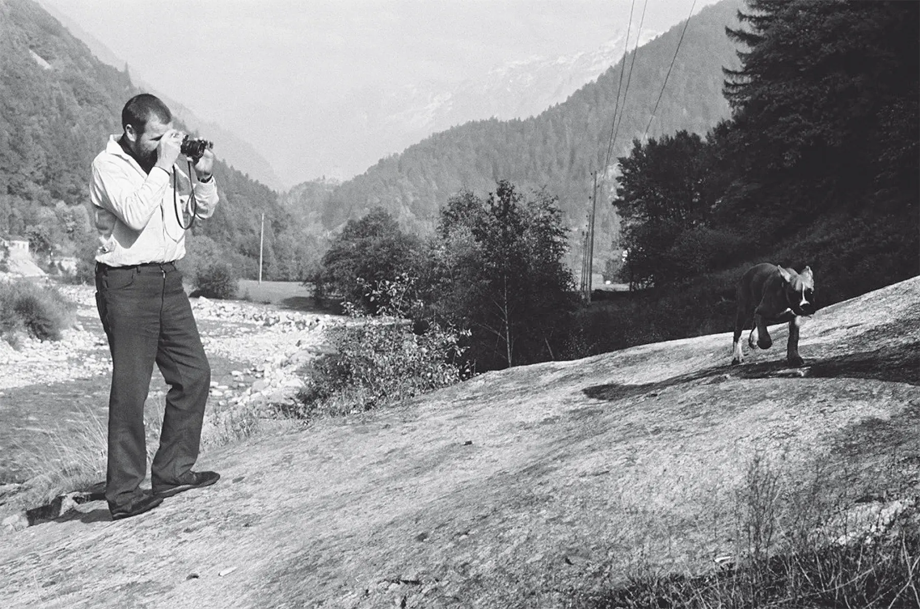 Ernst Scheidegger fotografa il suo cane boxer (fotografia: sconosciuto).