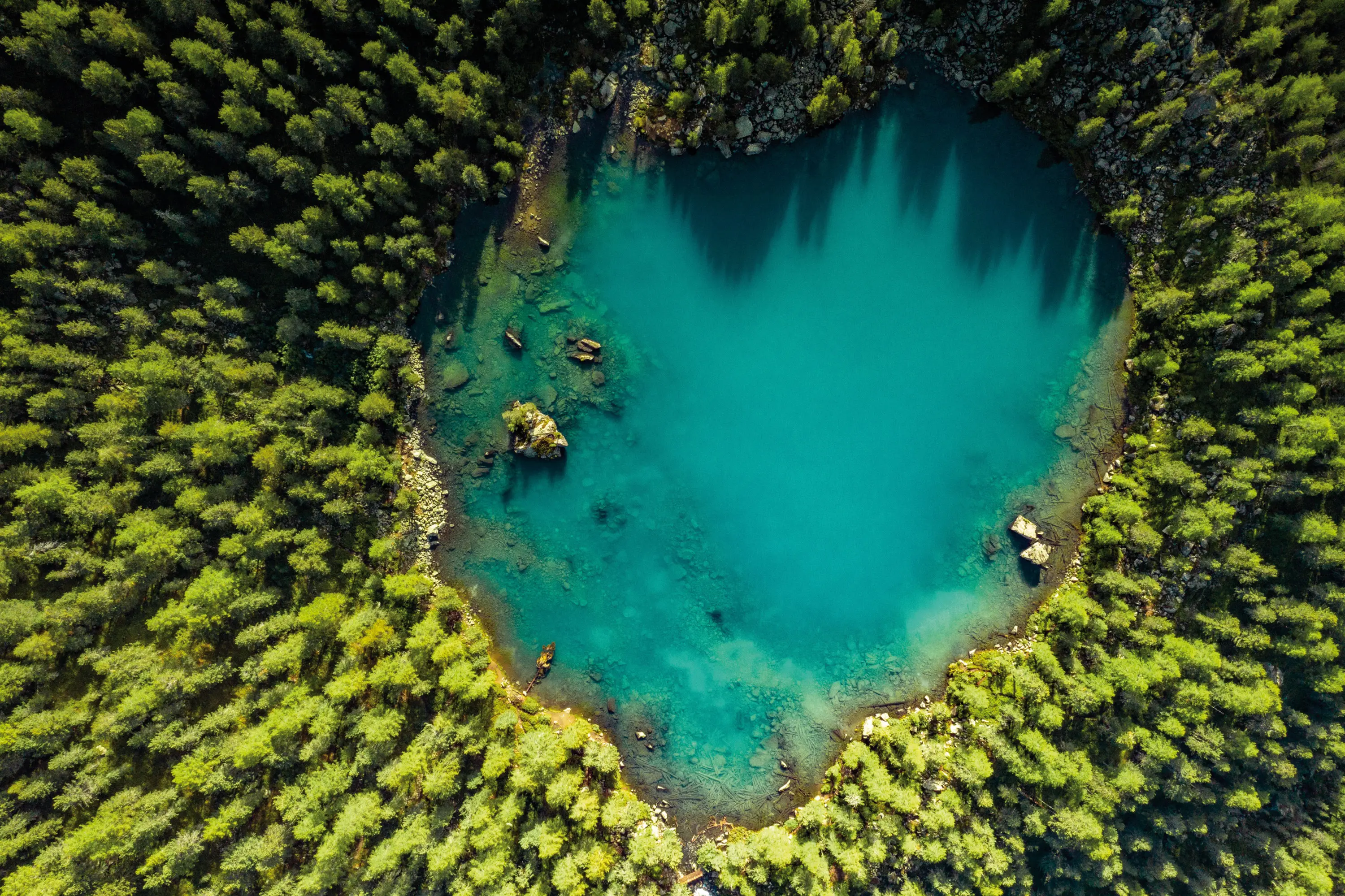Un lago a forma di cuore circondato da alberi verdi. L'acqua è di un blu intenso, con rocce visibili sulla superficie. La vista è aerea, mostrando dettagli naturali e il contrasto tra l'acqua e la vegetazione.