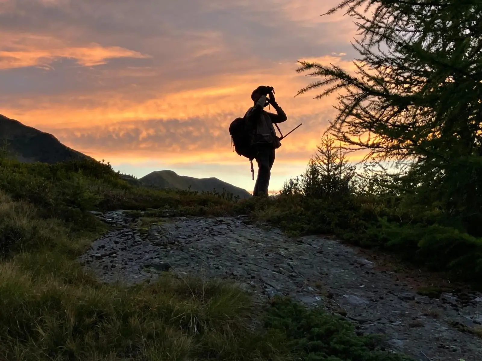 Silhouetta di un fotografo che scatta una foto al tramonto, circondato da alberi e montagne. Il cielo è colorato di arancione e viola.
