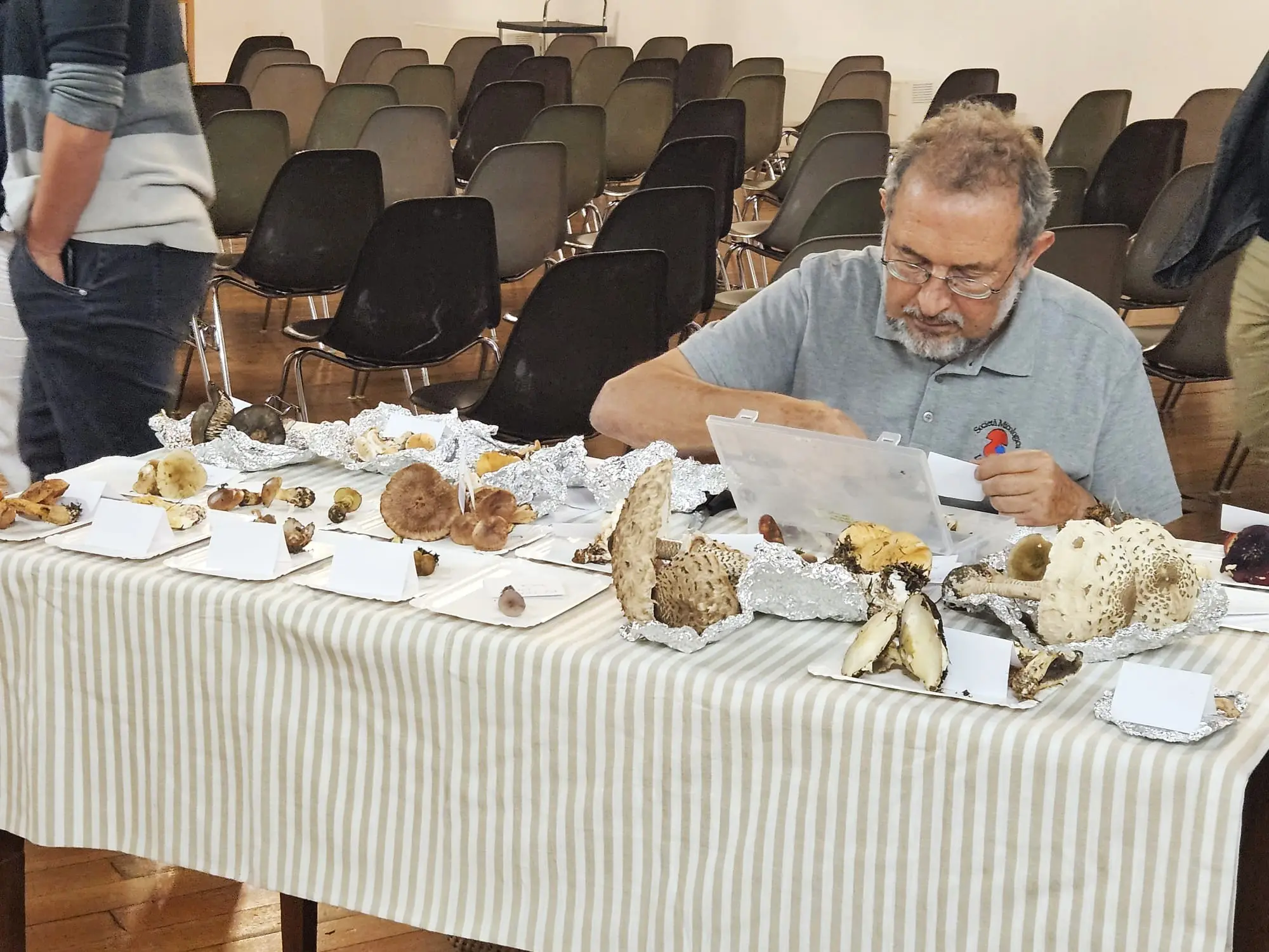Un uomo anziano esamina vari funghi su un tavolo, circondato da sedie in un ambiente di conferenza. Funghi di diverse dimensioni e colori sono disposti su un tessuto a righe.