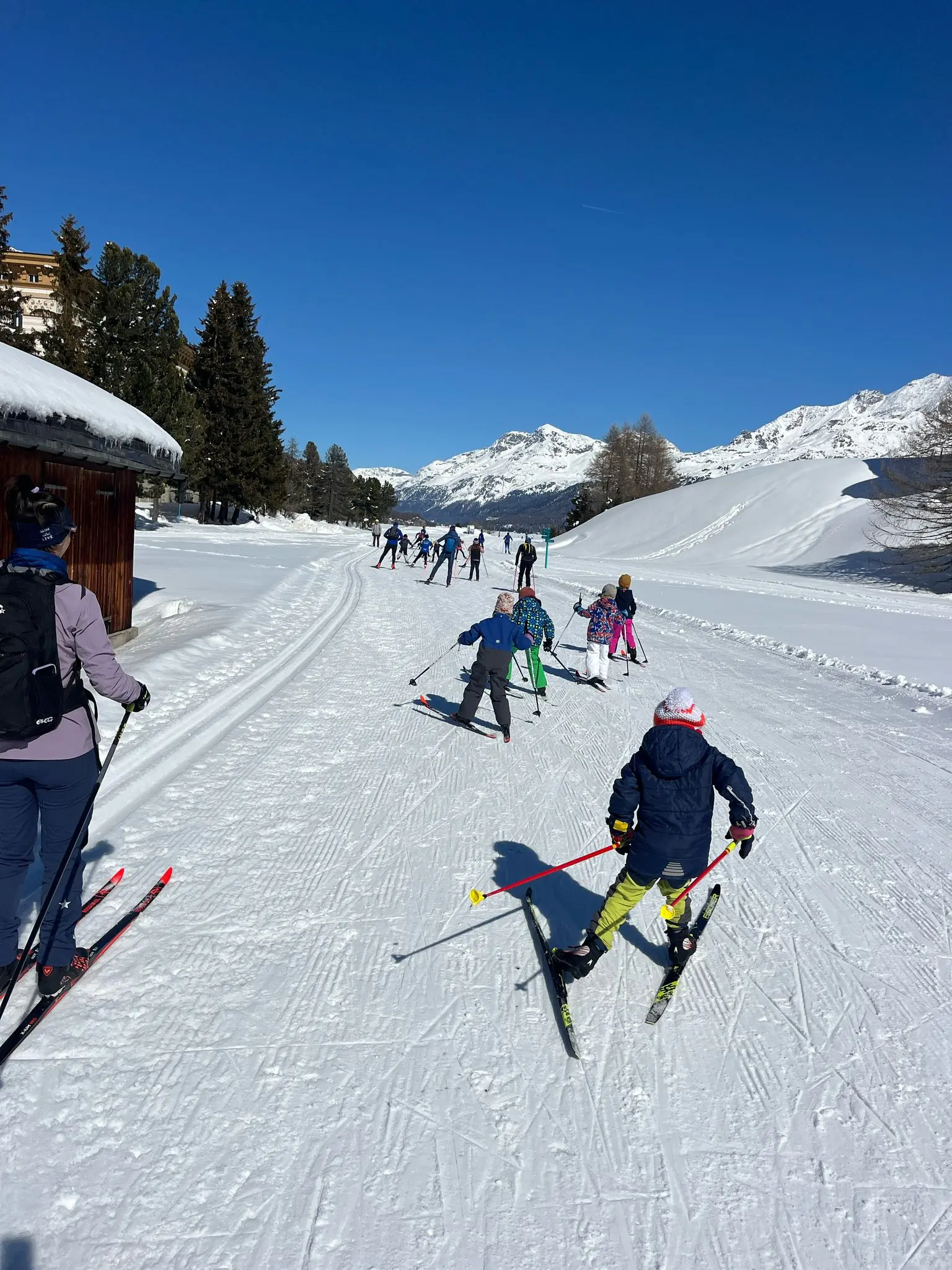 Persone che sciano lungo un sentiero innevato, circondati da alberi e montagne. Il cielo è sereno e blu, mentre alcuni bambini guidano il gruppo.