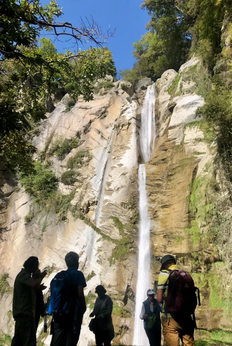 22&deg; Festival della Castagna - Gita guidata nel castagneto (3)