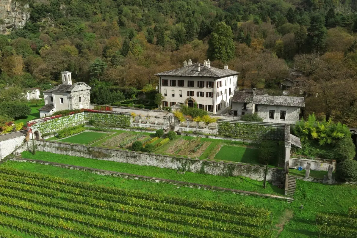 22&deg; Festival della Castagna - Il castagneto di Palazzo Vertemate e ricco aperitivo