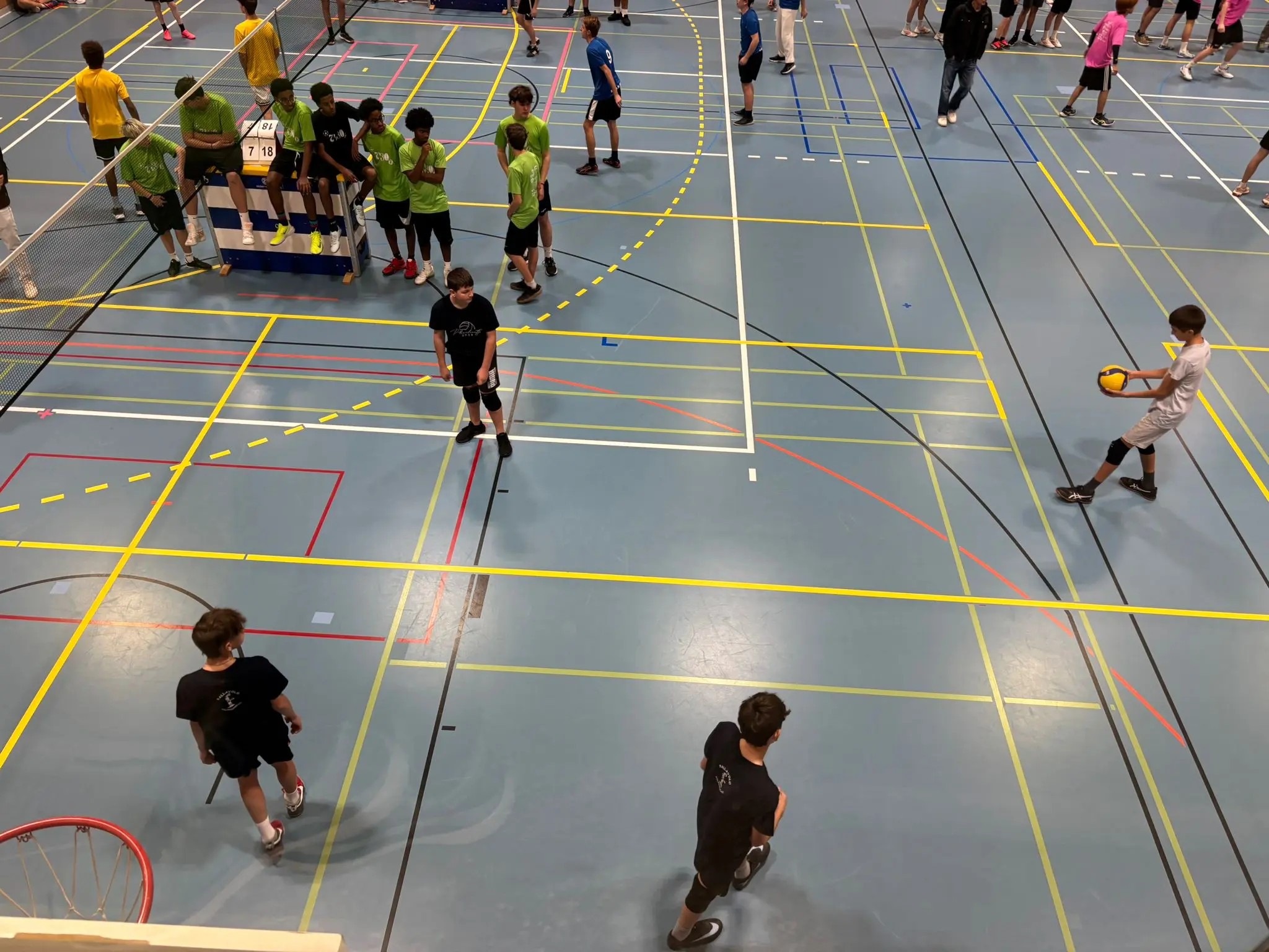 Numerosi giovani atleti si allenano in una palestra. Vari gruppi stanno svolgendo attività sportive diverse, con alcuni che si preparano per una gara e altri che giocano a pallamano. Il pavimento è segnato da linee bianche e colorate che delimitano i