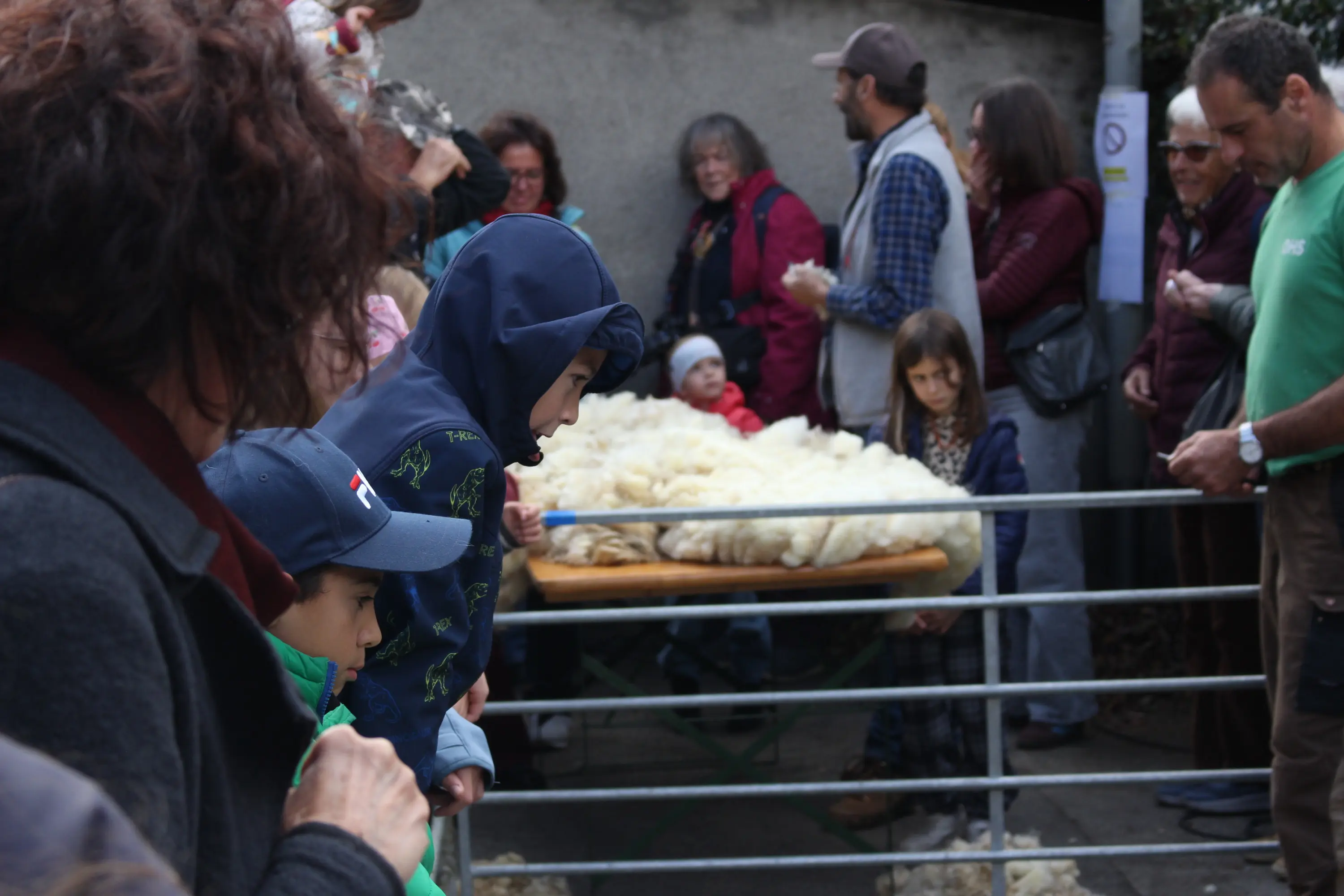 Bambini e adulti si radunano attorno a un tavolo con lana bianca, osservando attentamente. Un gruppo di persone è sullo sfondo, coinvolto in una dimostrazione.