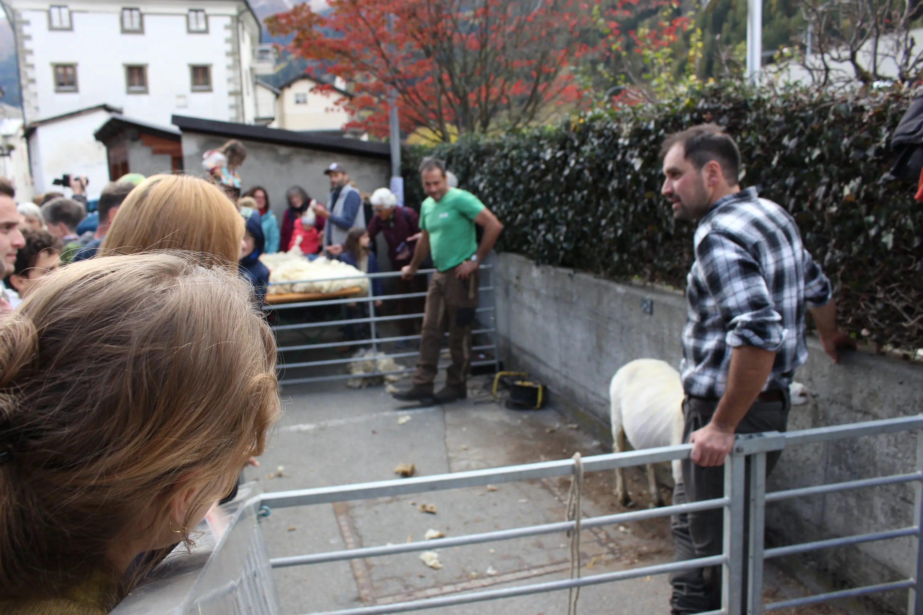 Gruppo di persone in attesa vicino a una recinzione mentre un uomo con una camicia a quadri parla con un altro uomo vicino a un pony. Sullo sfondo si vedono alberi con foglie colorate.