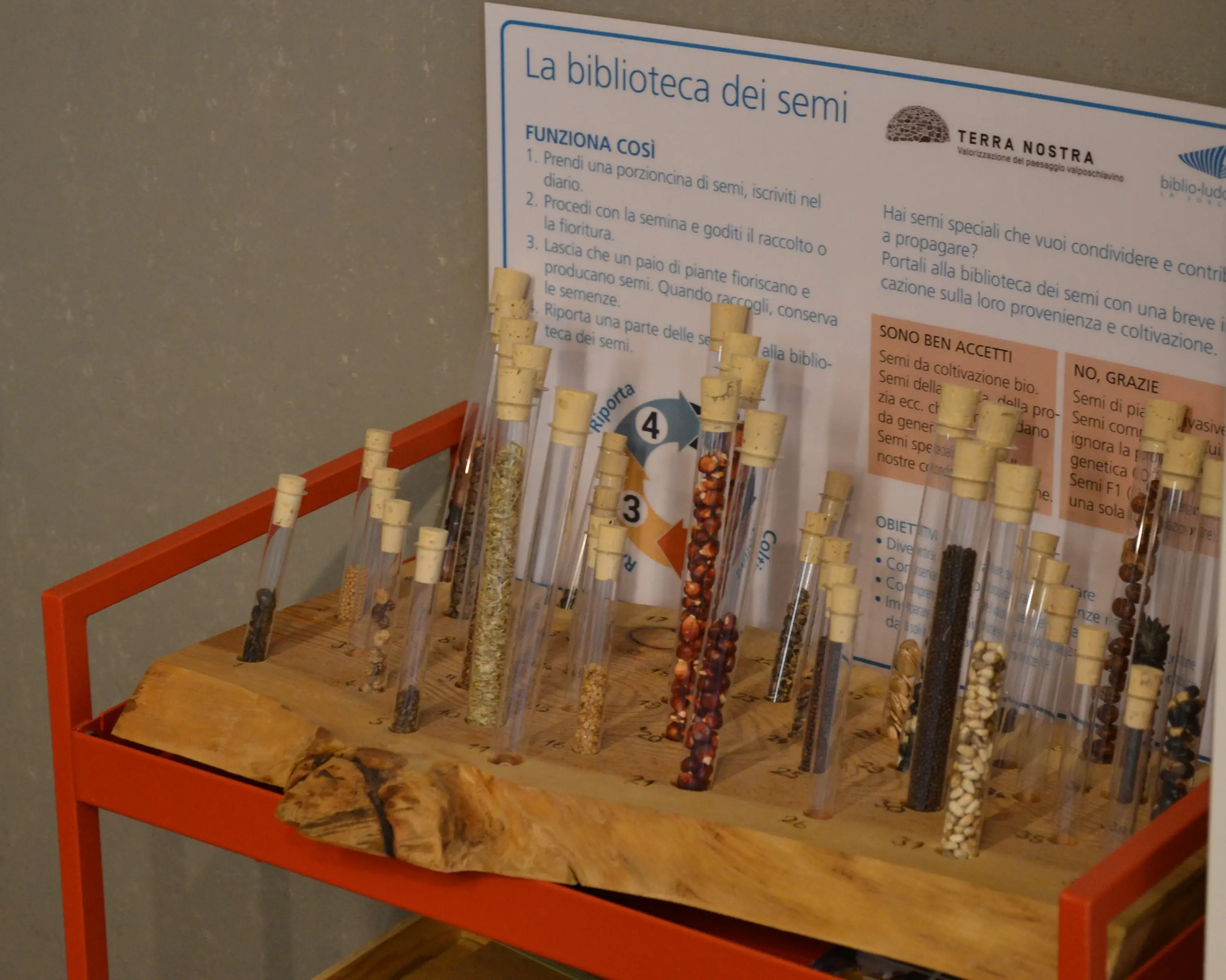 Vetrina con provette contenenti sementi diverse, su un tavolo di legno. Un cartello descrive il funzionamento della biblioteca dei semi e invita a collaborare.