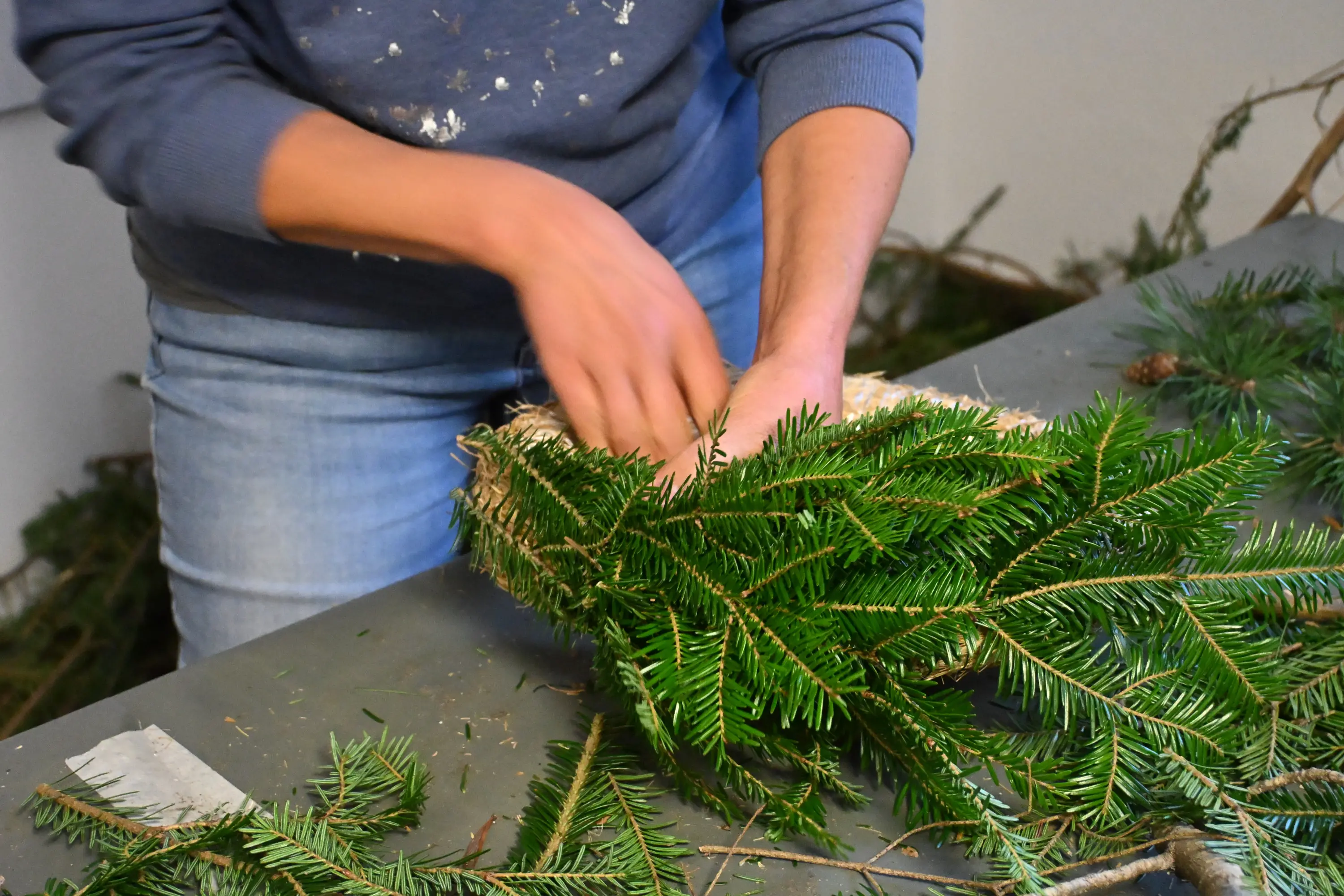 Una persona utilizza rami di pino per creare un centrotavola. Le mani sono impegnate a sistemare i rami su un tavolo, circondato da altri materiali vegetali.