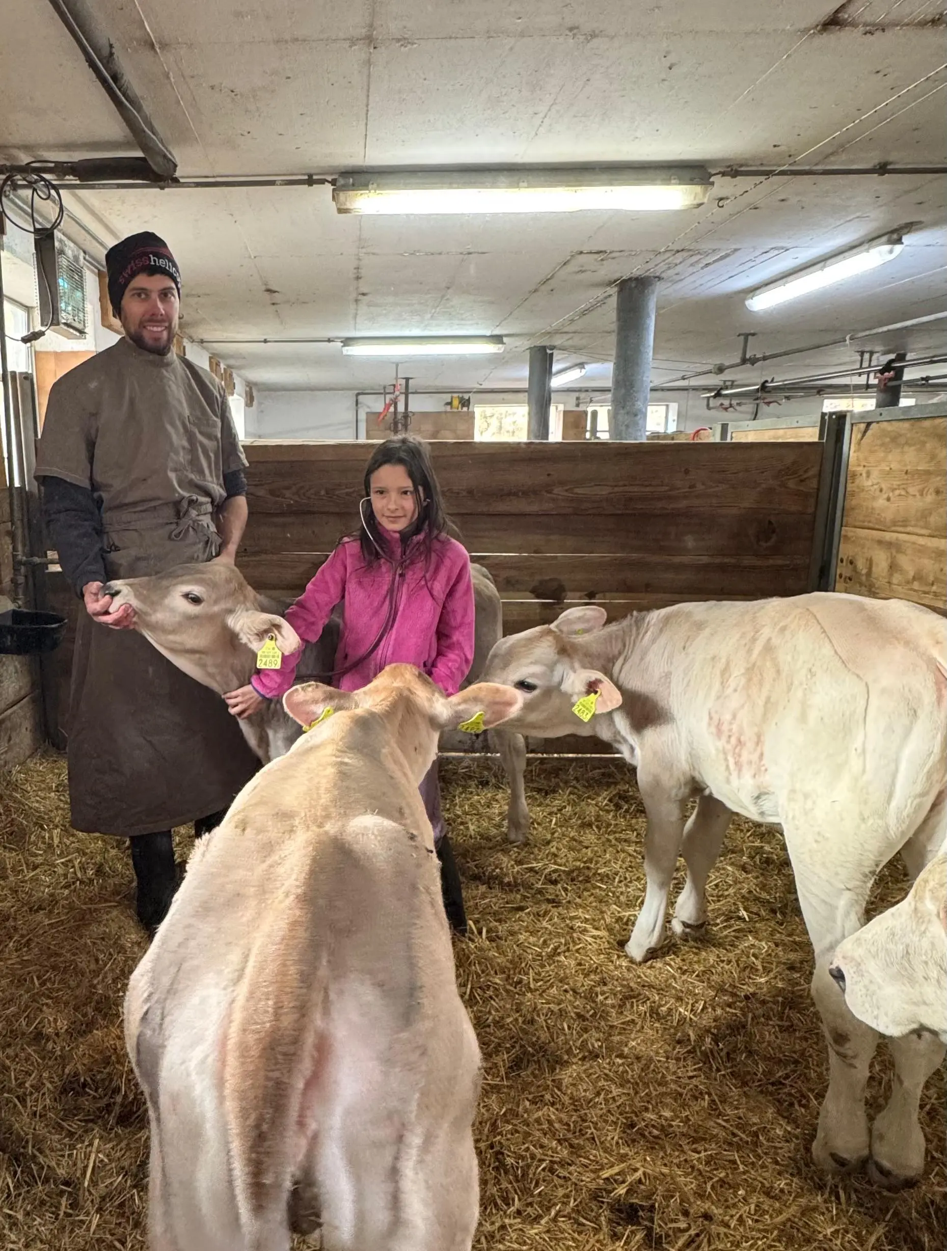 Un uomo e una bambina sorridono mentre accarezzano due vitelli in una stalla. Il pavimento è coperto di paglia e le pareti sono in legno.