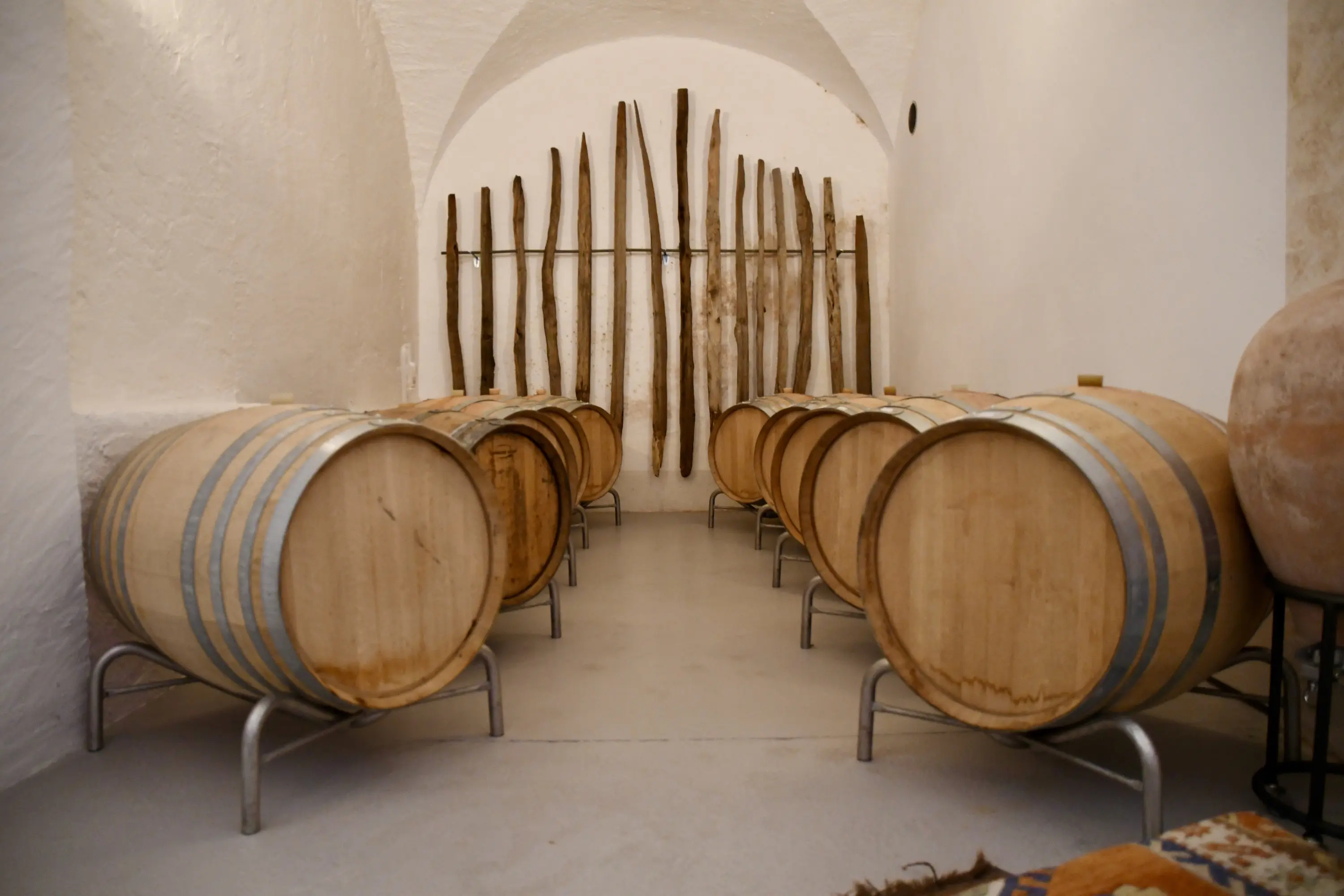 Barili di legno disposti ordinatamente in una cantina, con un muro bianco e travi di legno esposte sullo sfondo.