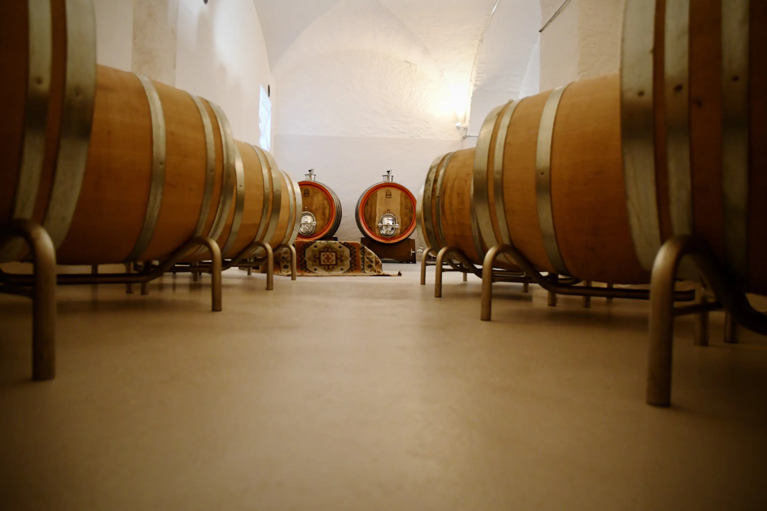 Una cantina con botti di legno allineate e un paesaggio di pietra chiara. Sullo sfondo, botti più grandi e un tappeto. L'atmosfera è calda e accogliente.