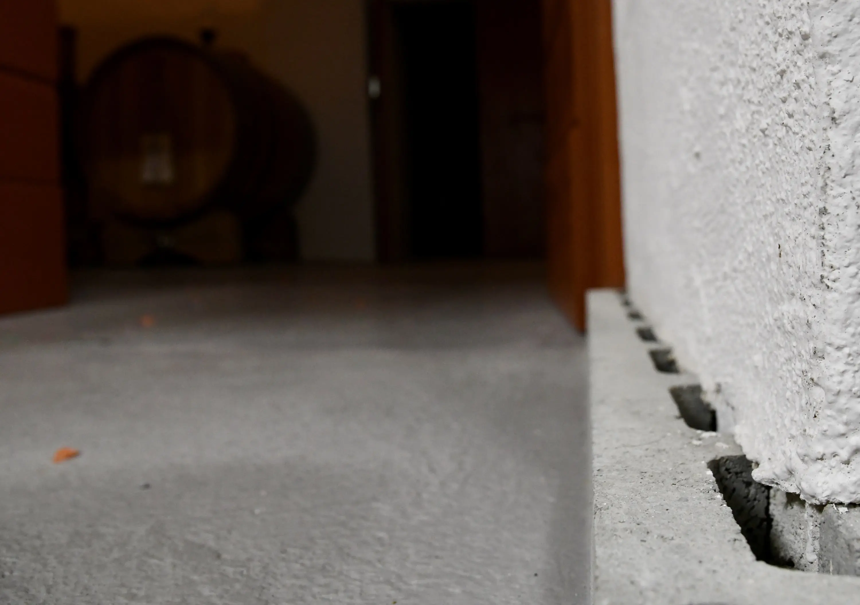 Una parete bianca e ruvida con fessure, in primo piano, mentre sullo sfondo si intravedono delle botti in legno. Il pavimento è in cemento.