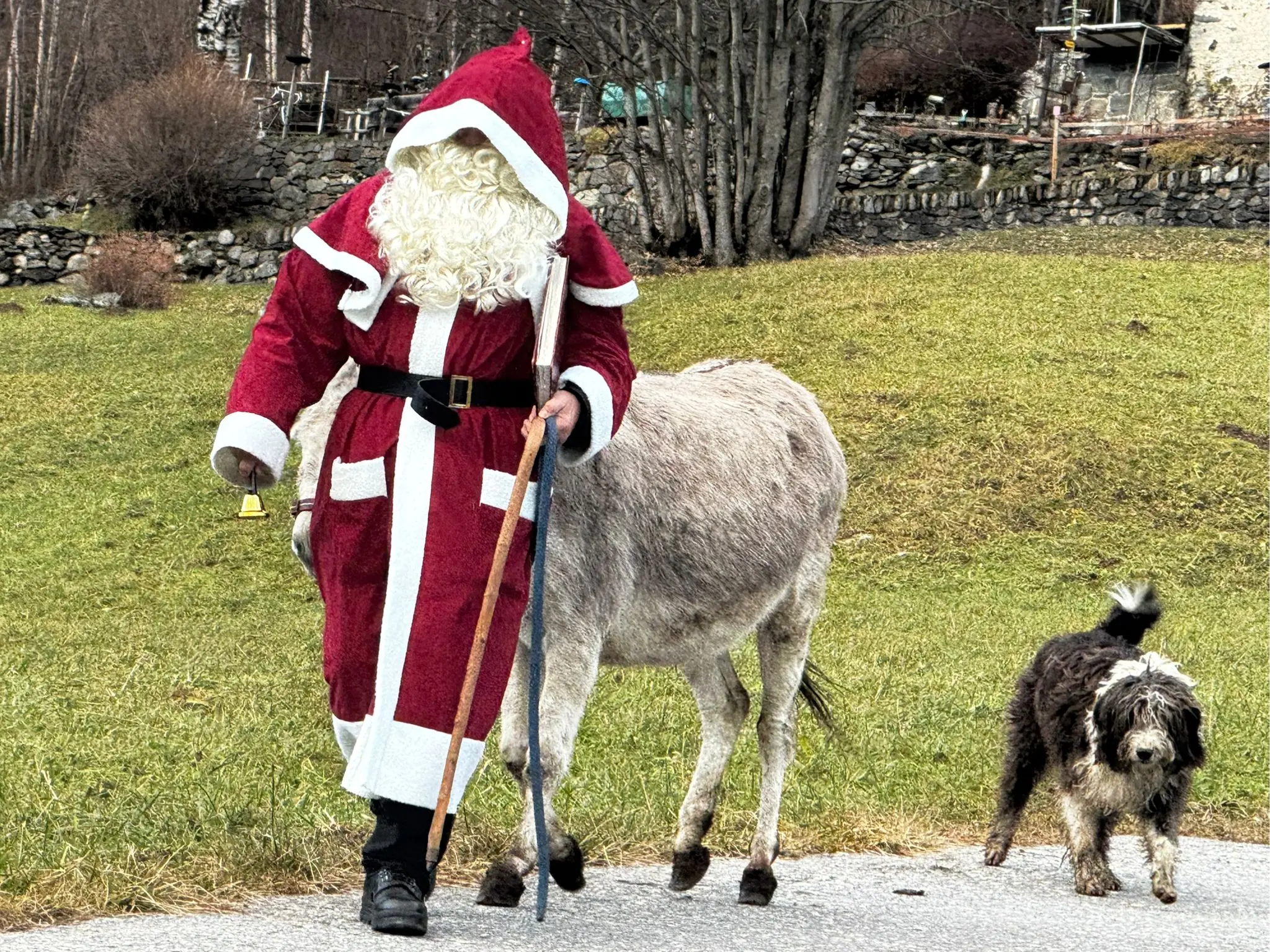 Un uomo travestito da Babbo Natale cammina lungo una strada con un asino e un cane al suo fianco. Sullo sfondo si vedono alberi e una zona verde.