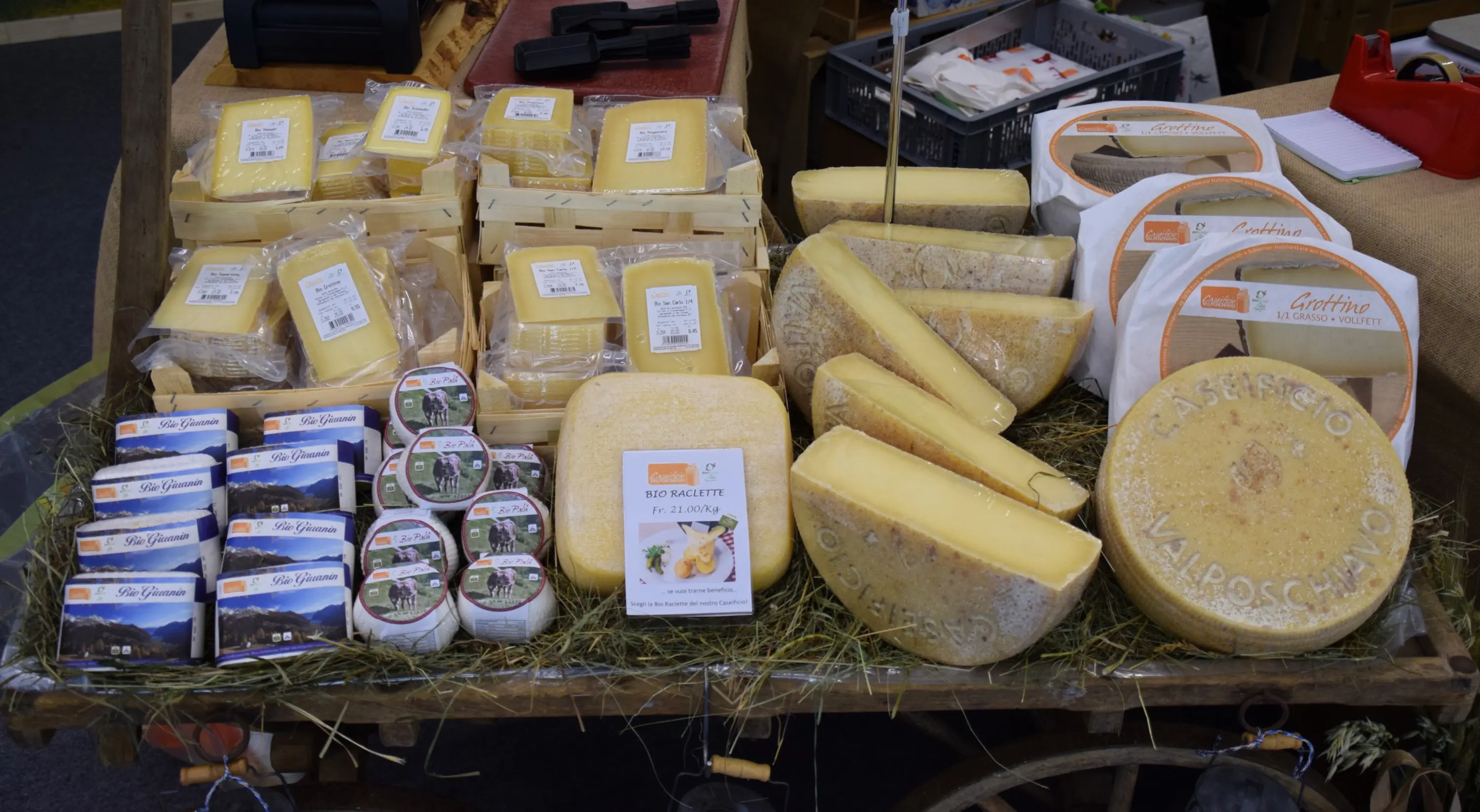 Varie forme di formaggio disposte su un tavolo di legno. Si vedono diversi tipi di formaggio, tra cui caciottoni e formaggi più piccoli, tutti etichettati, circondati da paglia.