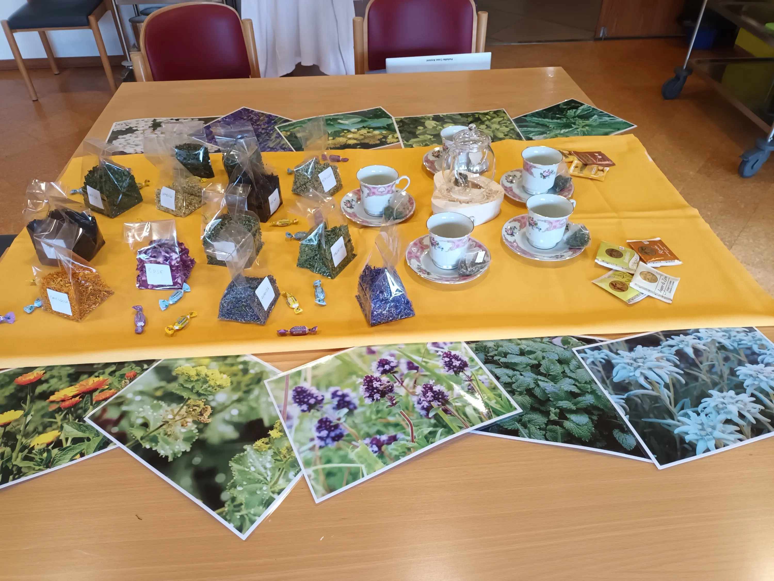Tavolo decorato con bustine di erbe in vari colori, tazze e piattini in porcellana, una teiera e caramelle, circondato da fotografie di fiori e piante.