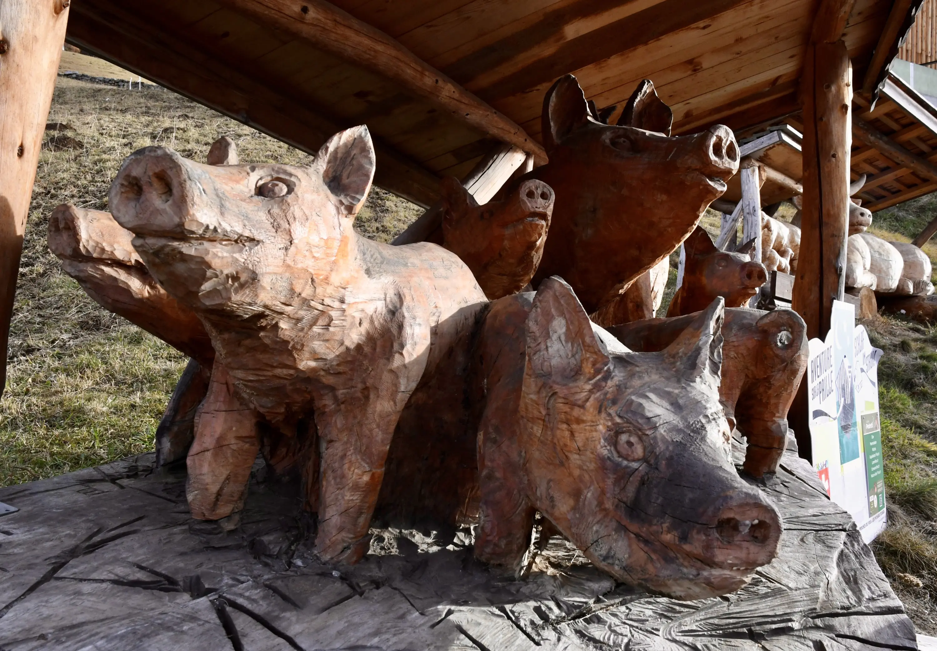 Sculture di maiali in legno, dettagliate e realistiche, esposte sotto un riparo in legno.