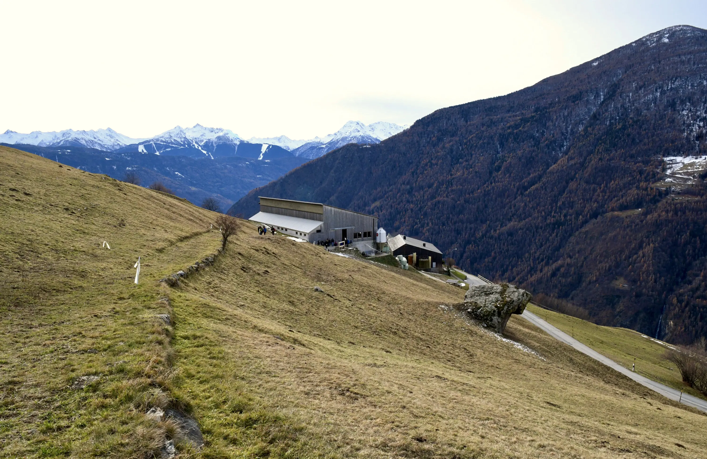 Un paesaggio montano con una valle e montagne coperte di neve sullo sfondo. Una struttura architettonica moderna si trova in una collina erbosa, circondata