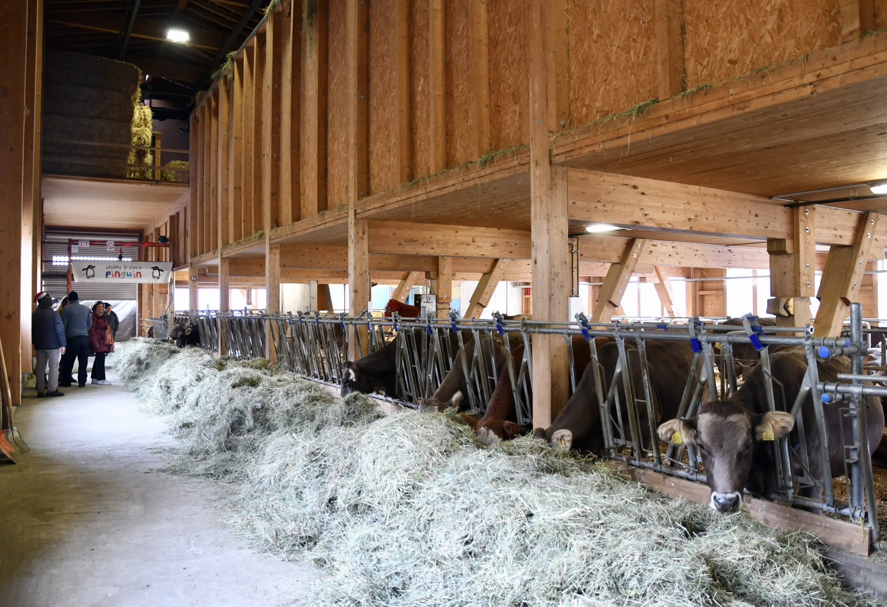 Interno di una stalla con mucche che mangiano foraggio. Due persone stanno conversando in fondo, circondati da balle di fieno. La struttura è in legno e