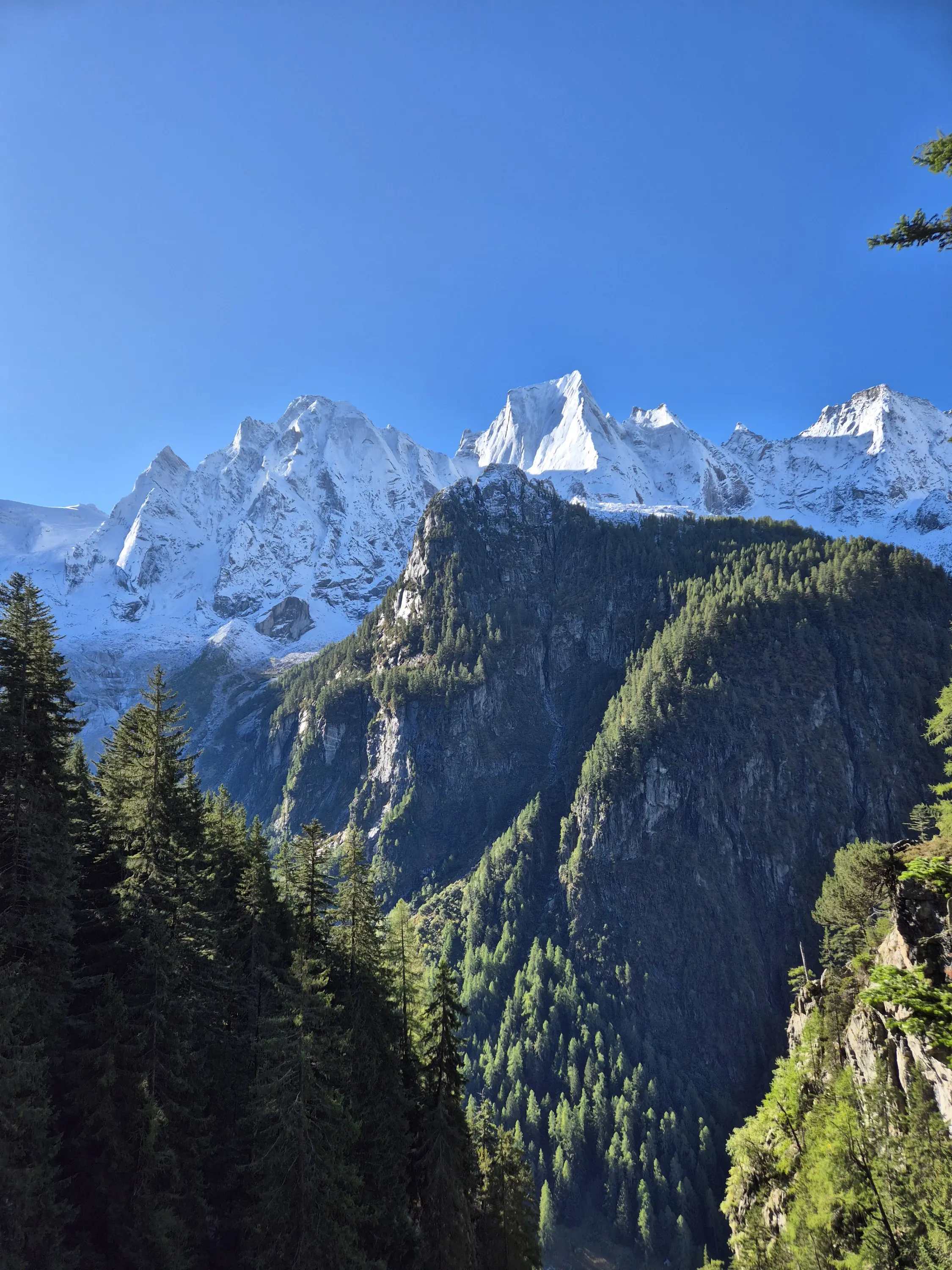 Maestose montagne coperte di neve si ergono verso un cielo blu, con foreste verdeggianti alla base.