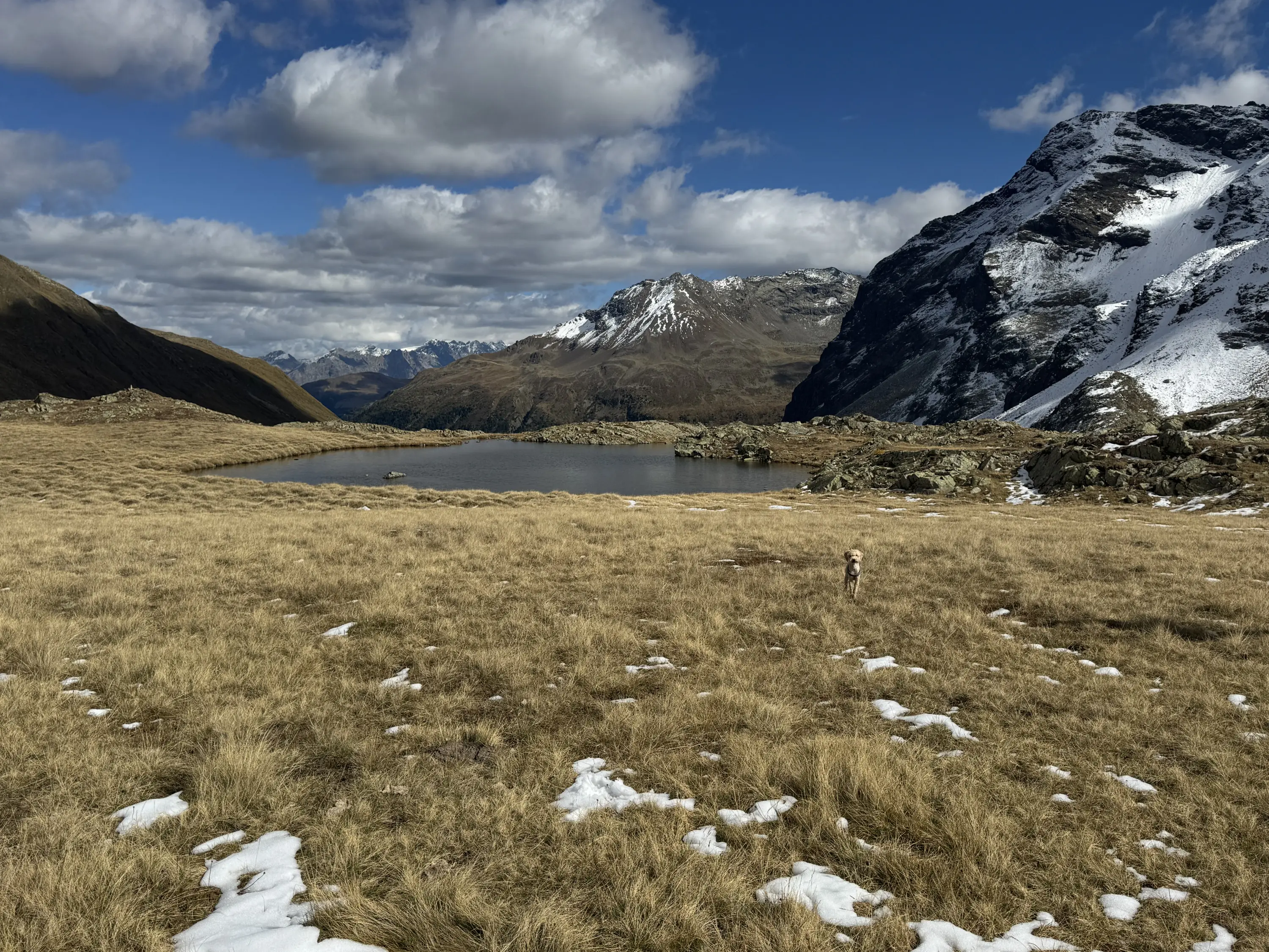 Un vasto paesaggio montano con un lago poco profondo in primo piano. L'area è coperta da erba secca, con alcune macchie di neve. Sullo sfondo, si ergono montagne coperte di neve sotto un cielo parzialmente nuvoloso. Un cane in lontananza esplora il paesaggio.