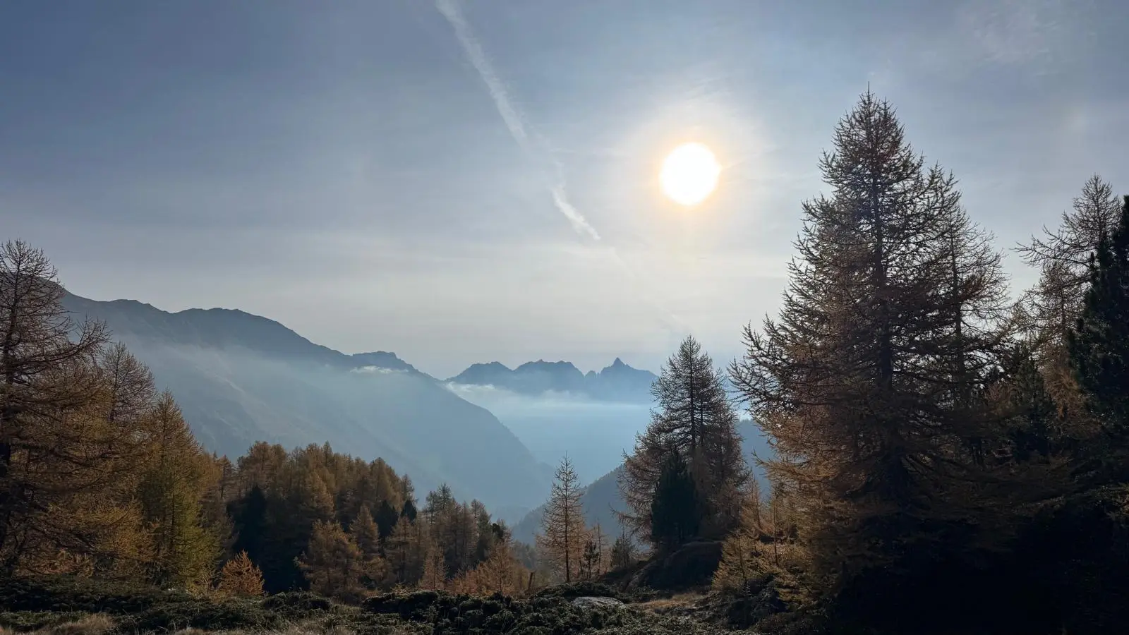 Una vista panoramica di montagne con alberi di larice sullo sfondo. Il sole splende nel cielo sopra le cime montuose, creando un'atmosfera serena e suggestiva.