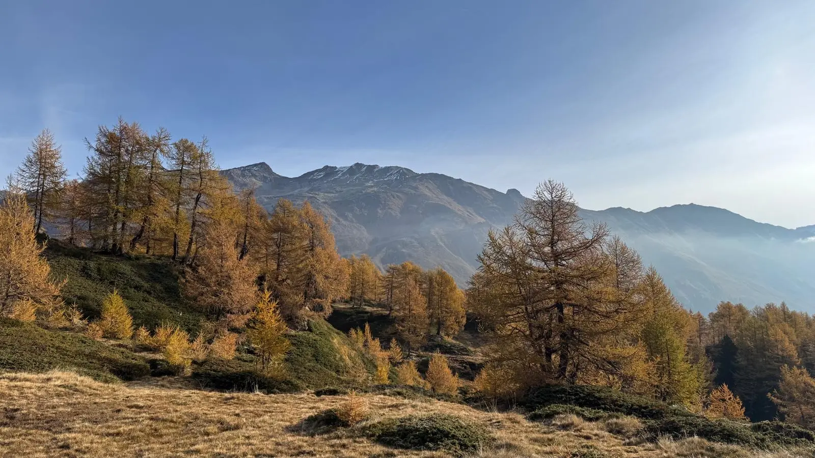 Montagne avvolte da alberi di larice dorato in autunno, con un cielo blu chiaro che sfuma verso il basso. Il paesaggio è sereno e suggestivo, con cime montuose parzialmente innevate sullo sfondo.