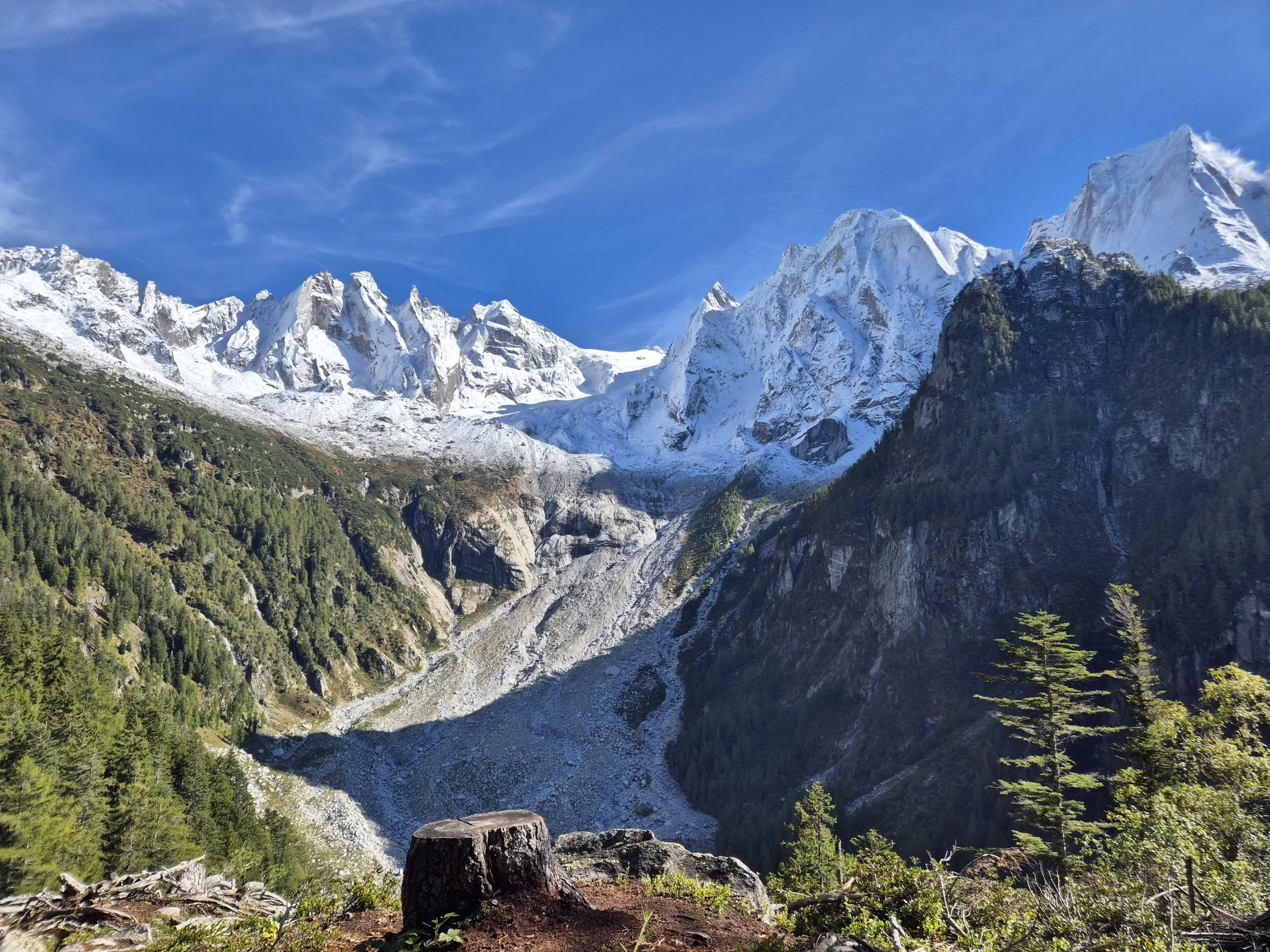 Un paesaggio montano con vette innevate che si ergono sopra una valle verdeggiante. In primo piano si vede un tronco abbattuto, mentre sullo sfondo si stagliano le rocce grigie e un ghiacciaio che scende verso la valle. Il cielo è sereno e blu.
