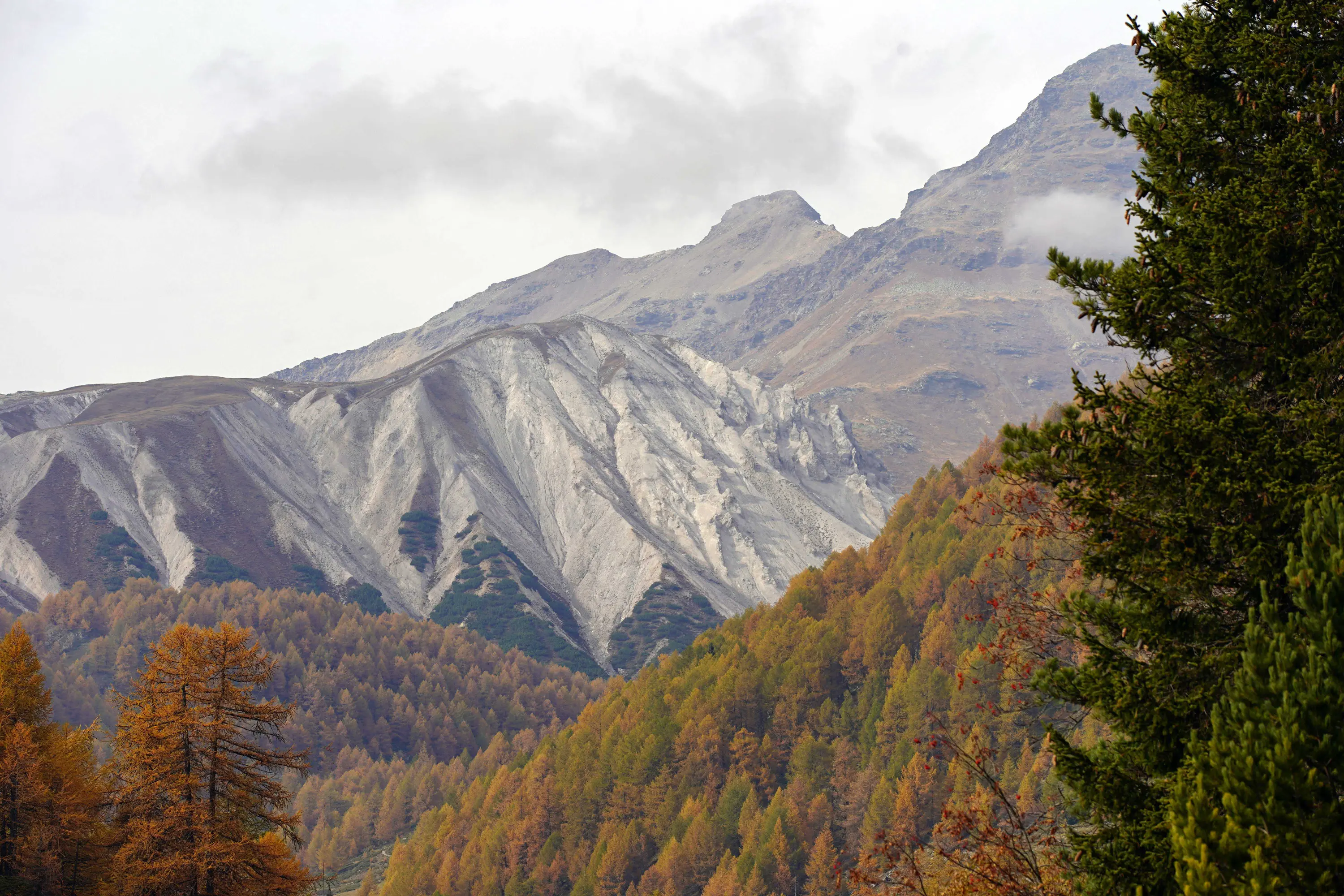 Paesaggio montano con vette rocciose e pendii coperti di foreste autunnali. Le cime delle montagne sono parzialmente nuvolose, mentre gli alberi di larice mostrano tonalità dorate.