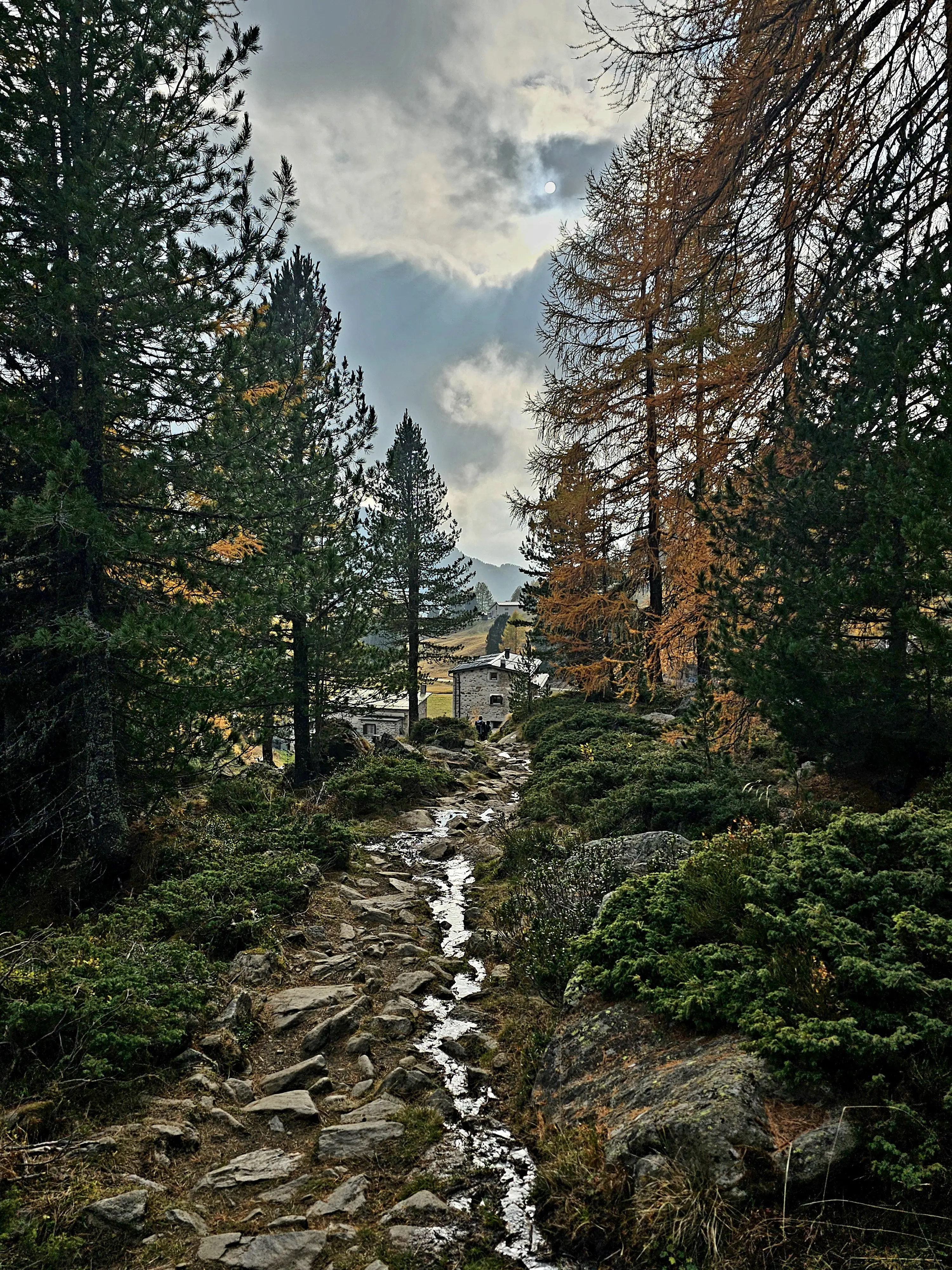 Sentiero di pietre che si snoda tra alberi di conifere, con un piccolo villaggio sullo sfondo sotto un cielo nuvoloso.