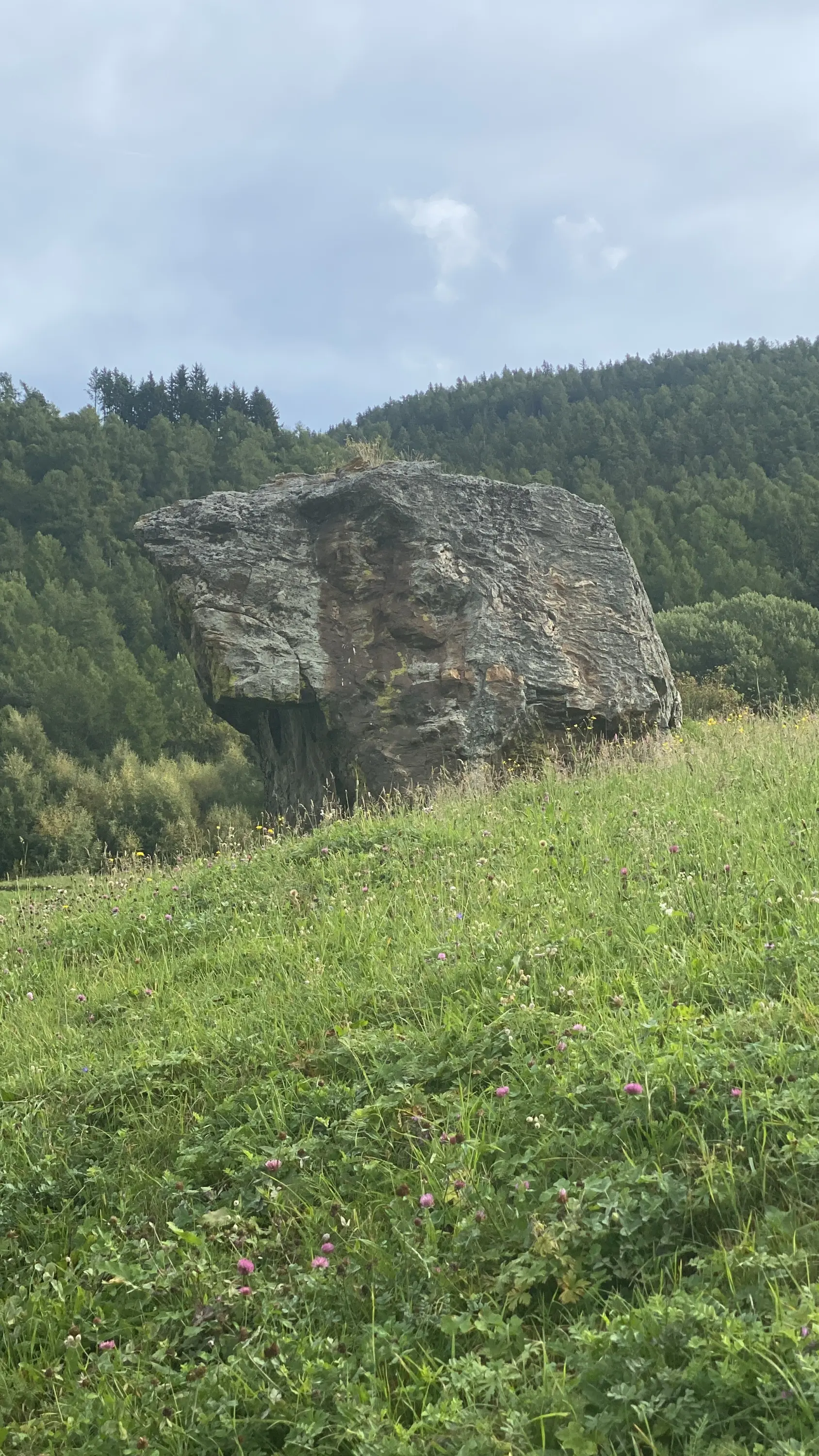 Masso roccioso di grandi dimensioni su un prato verde, circondato da alberi. Il cielo è parzialmente nuvoloso.