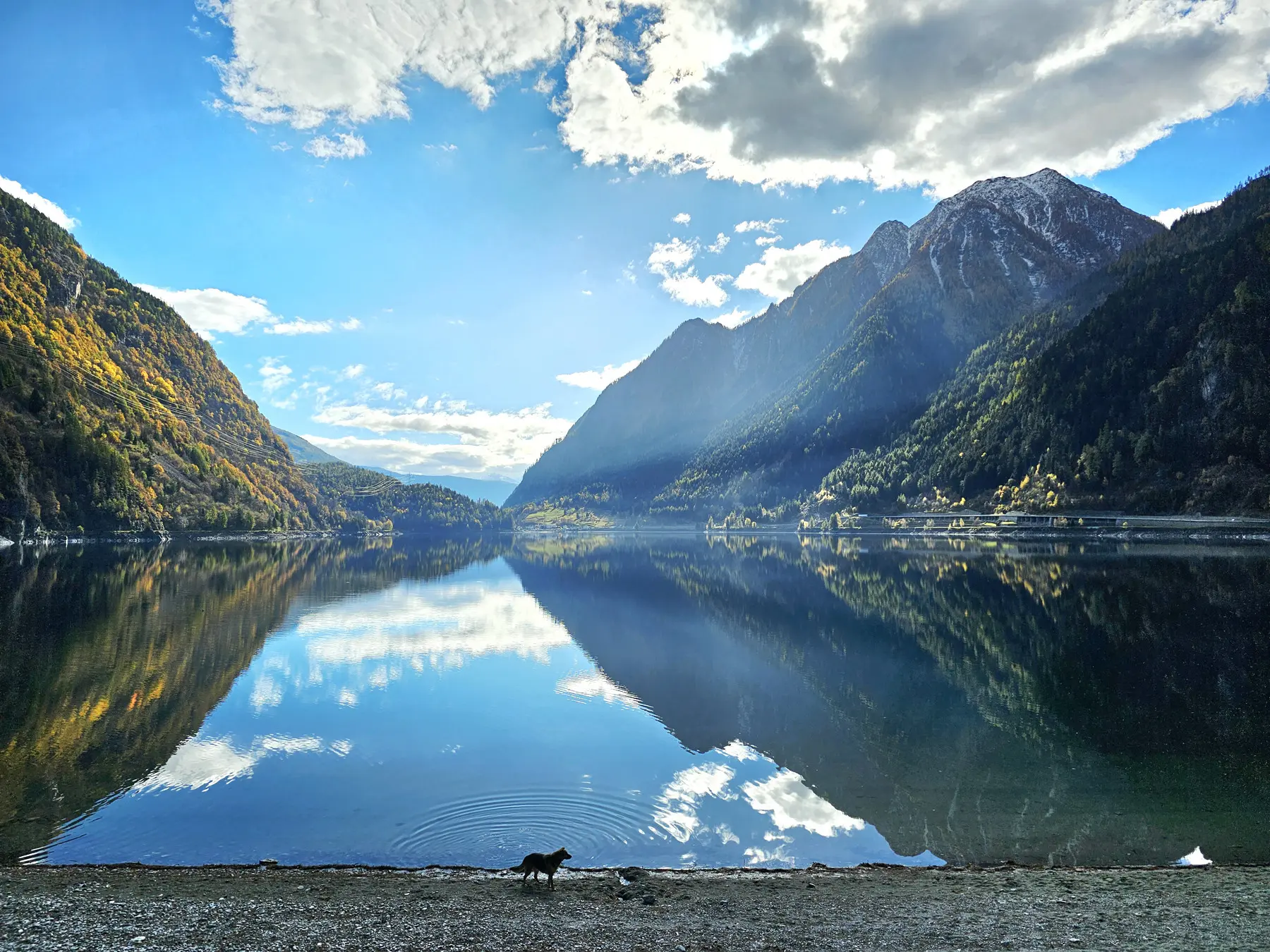 Un lago calmo circondato da montagne maestose. Le nuvole si riflettono sull'acqua, creando un effetto specchio. Un piccolo animale cammina lungo la riva.