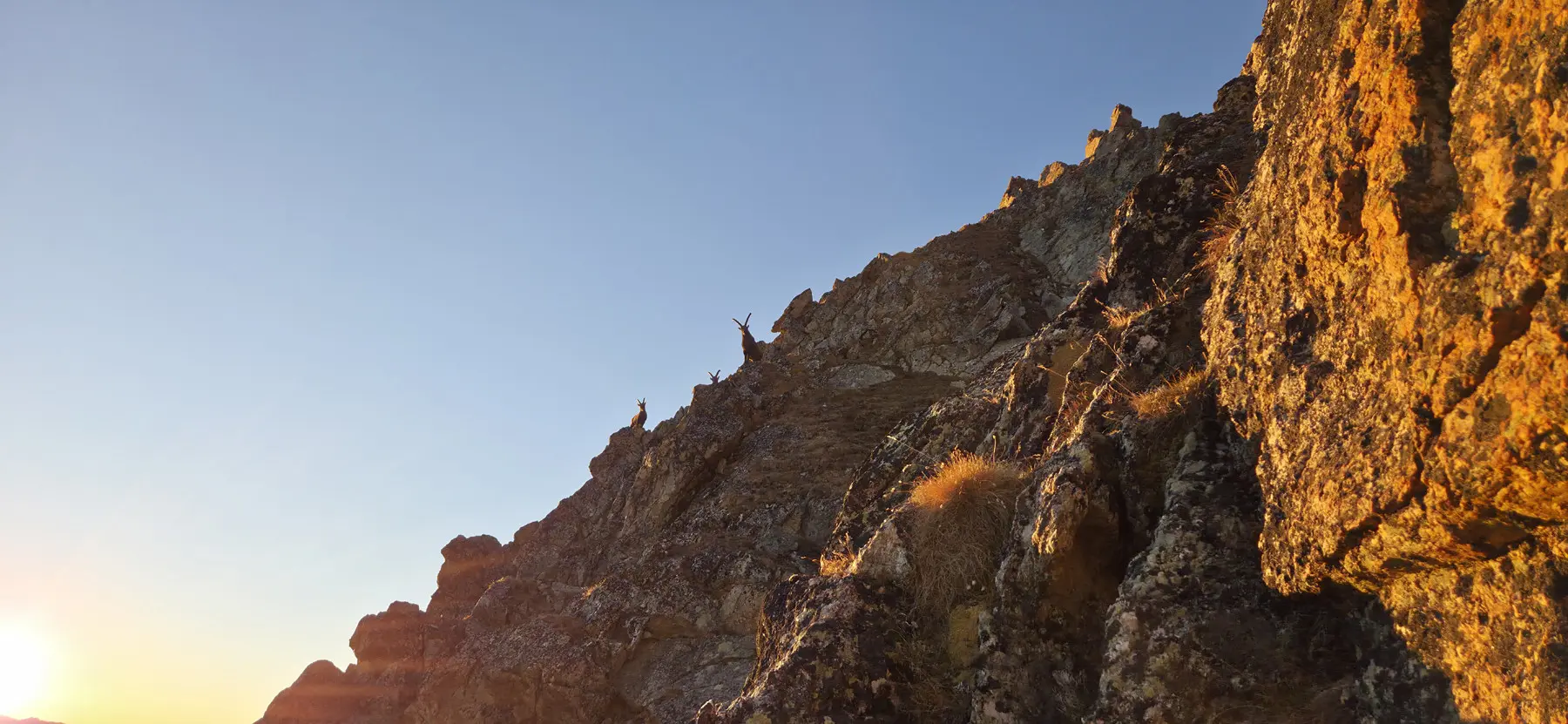 Un paesaggio montano al tramonto, con rocce scoscese illuminate dalla luce dorata e silhouette di animali in lontananza.