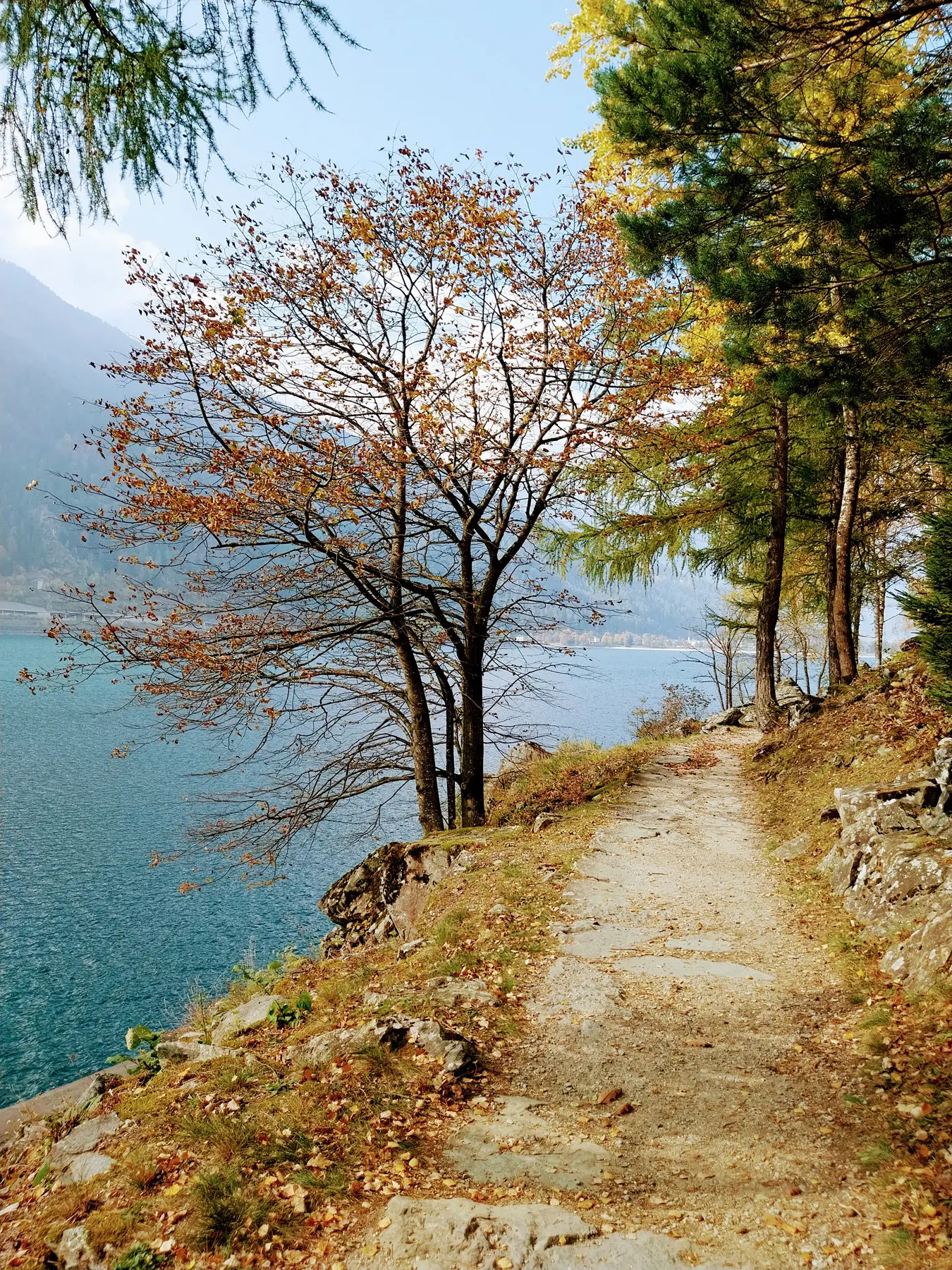 Sentiero costeggiato da alberi affacciati su un lago, con foglie autunnali e un panorama montano sullo sfondo.