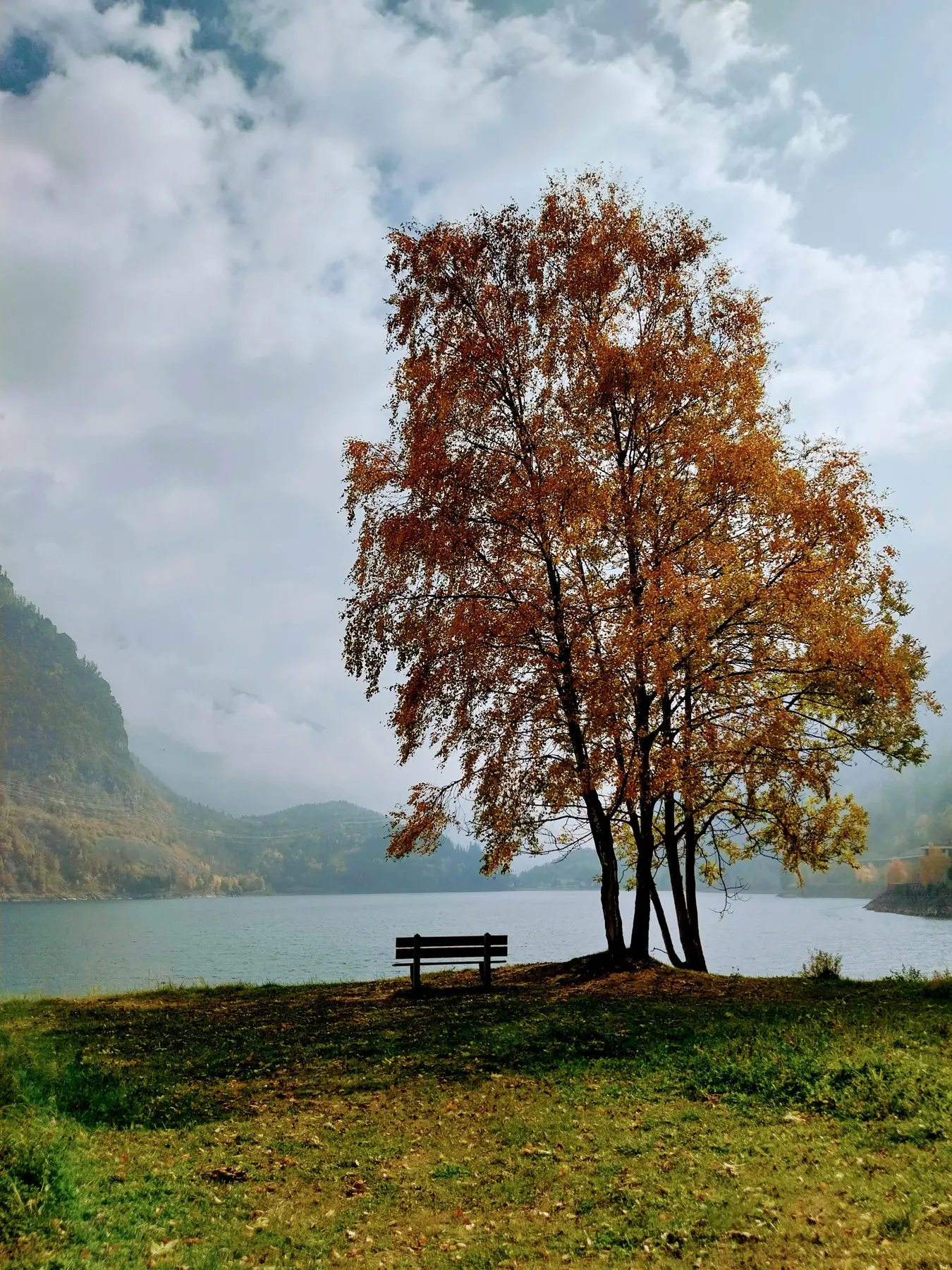 Un albero con foglie autunnali arancioni si erge vicino a un lago tranquillo, con una panchina di legno posizionata sull'erba. Sullo sfondo si intravedono montagne e un cielo nuvoloso.