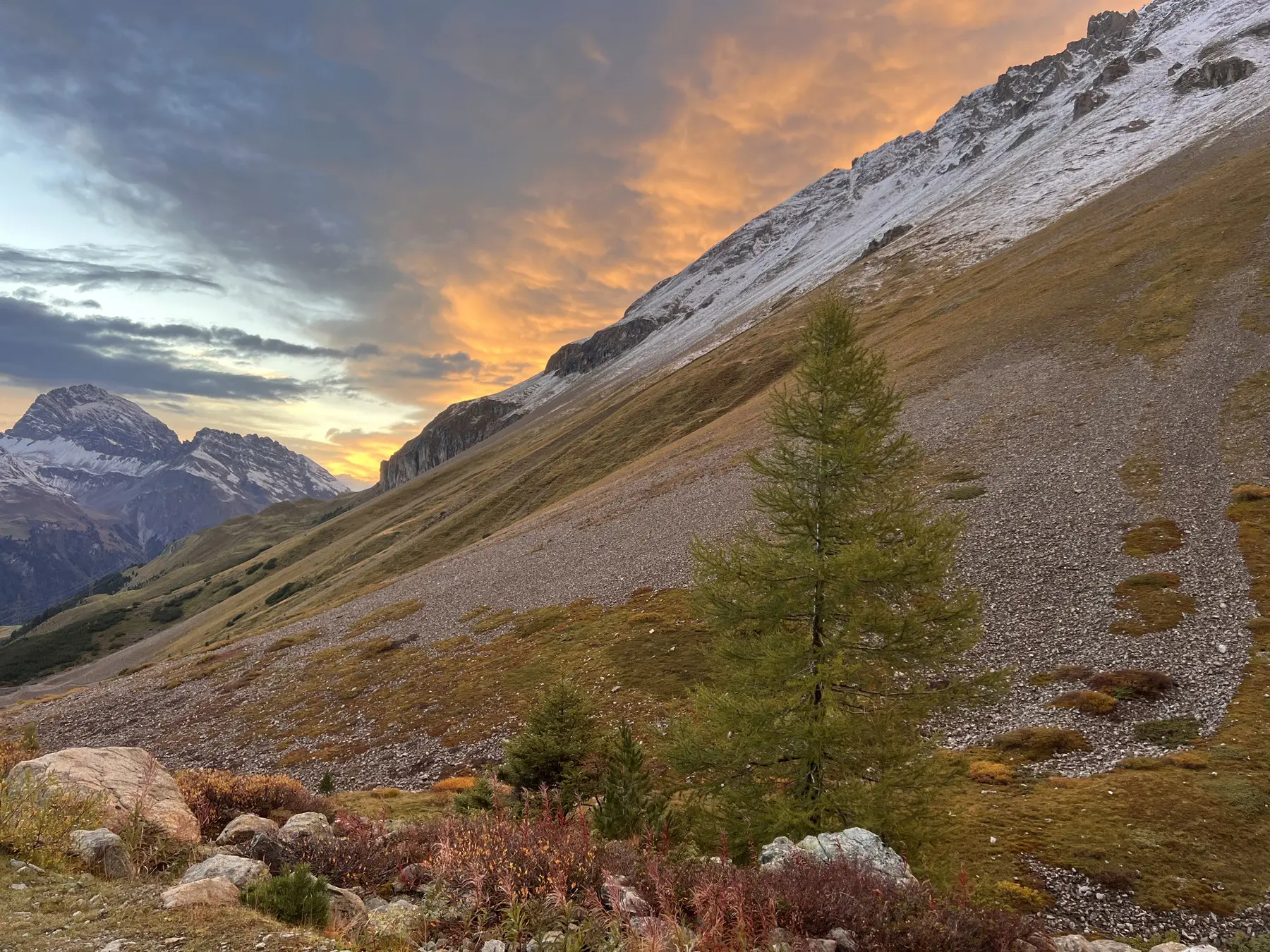 Un paesaggio montano al tramonto, con cime innevate e un cielo di tonalità arancioni. Una collina verdeggiante con alberi e rocce visibili in primo piano.