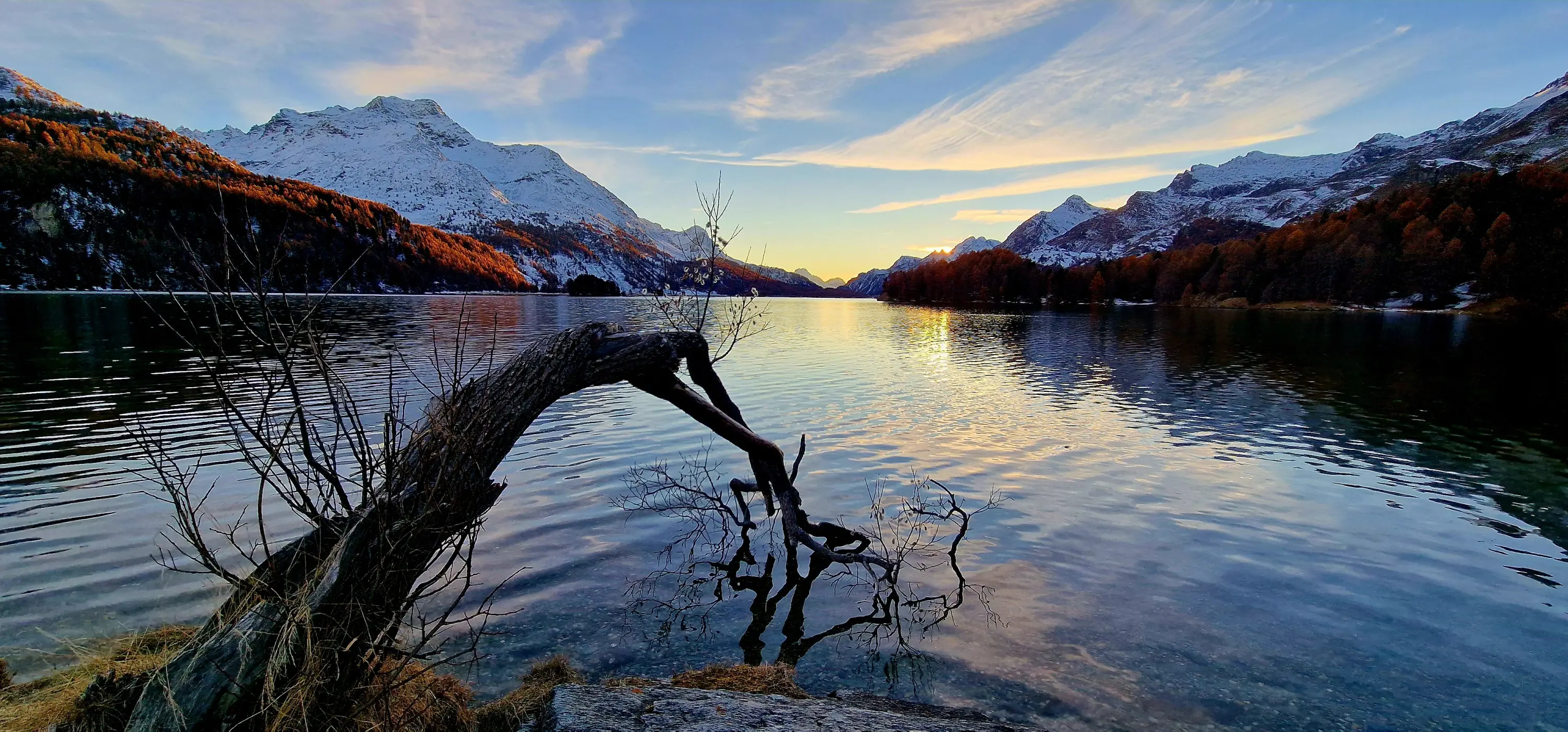 Panorama di un lago montano al tramonto, circondato da cime innevate e alberi autunnali. Il cielo presenta tonalità di blu e arancione, riflettendosi nell'acqua calma. Un ramo sporgente emerge dalla riva in primo piano.