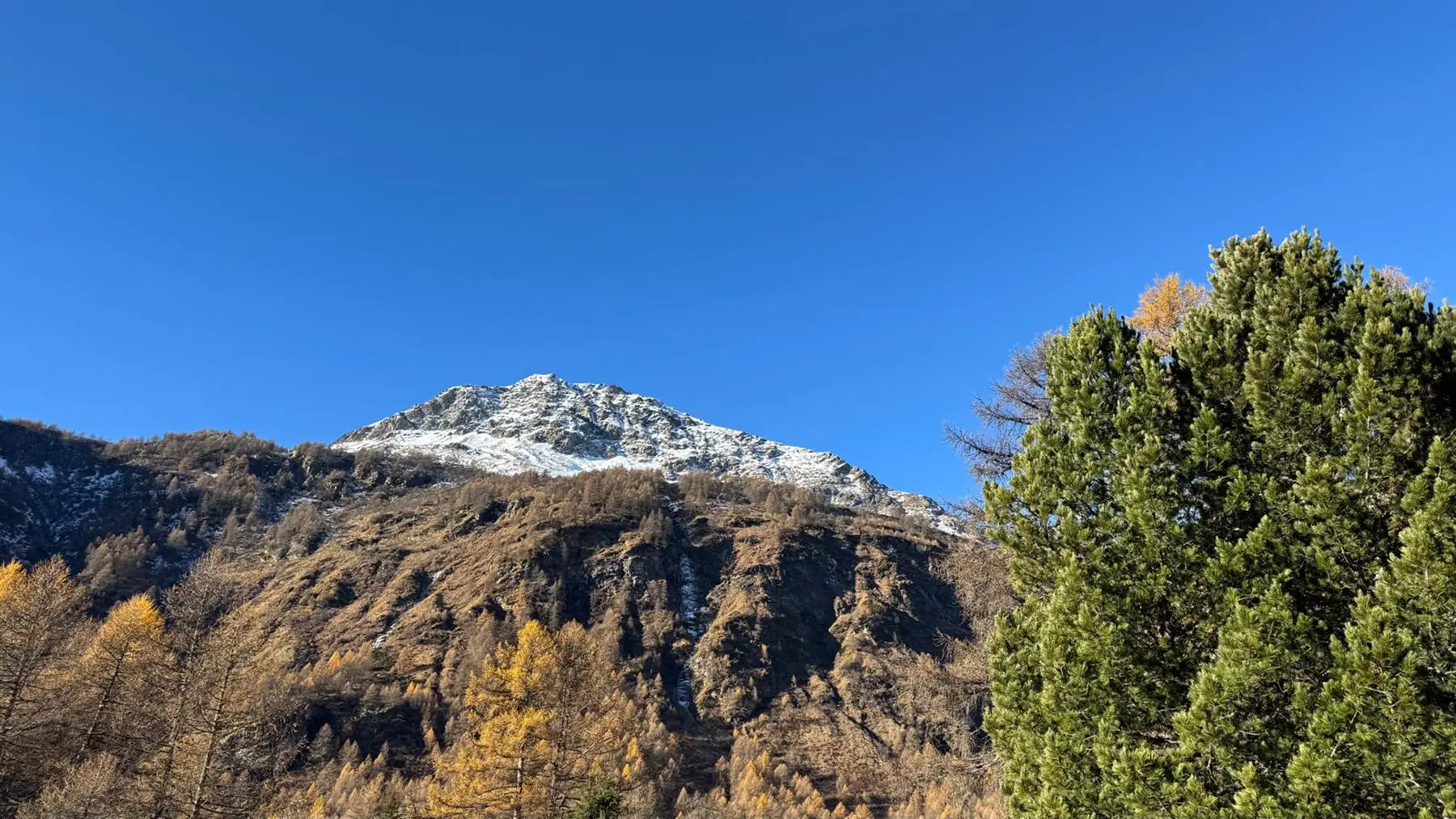 Una montagna imponente con cime innevate, circondata da alberi verdi e vegetazione autunnale. Il cielo è limpido e blu.