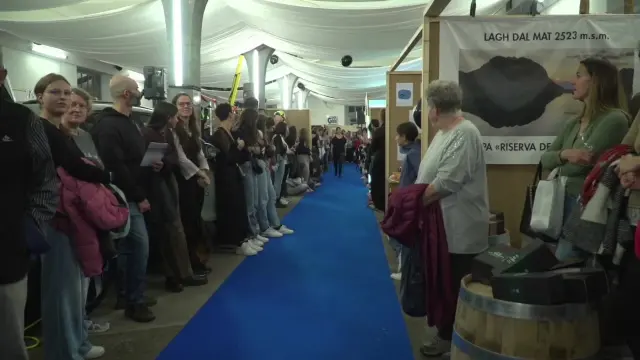 2025-11-01 19-02-41 (1)